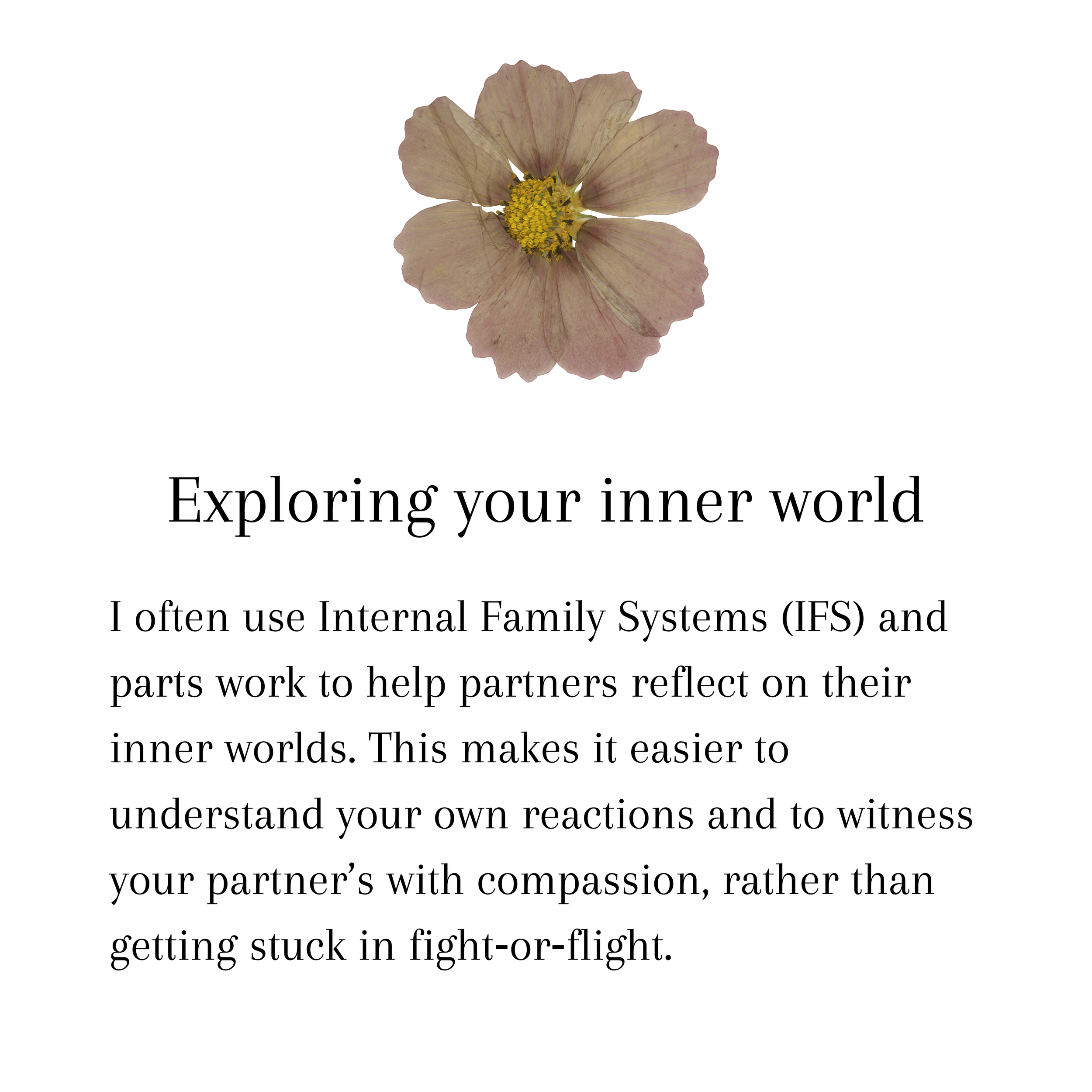 Honoring culture and identity. As someone with diverse identities, I know how culture and family dynamics shape relationships. I don’t see these as problems to erase as they’re part of your story, and deserve to be honored in the work we do.