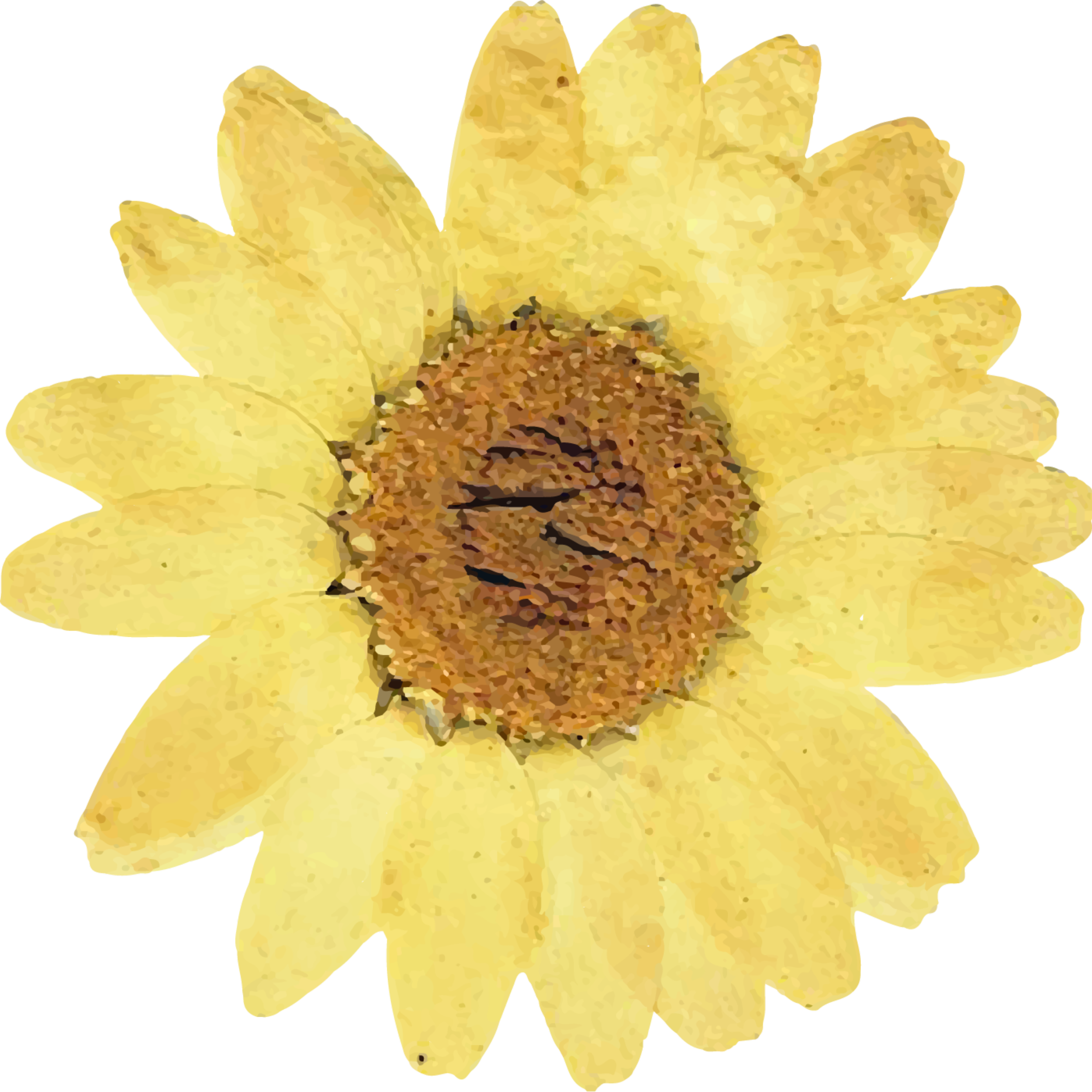 A yellow sunflower with a brown center.