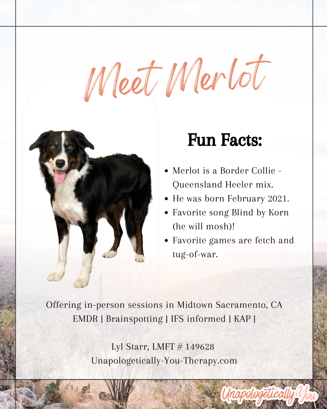 Why a Dog Can Make a Big Difference in Therapy