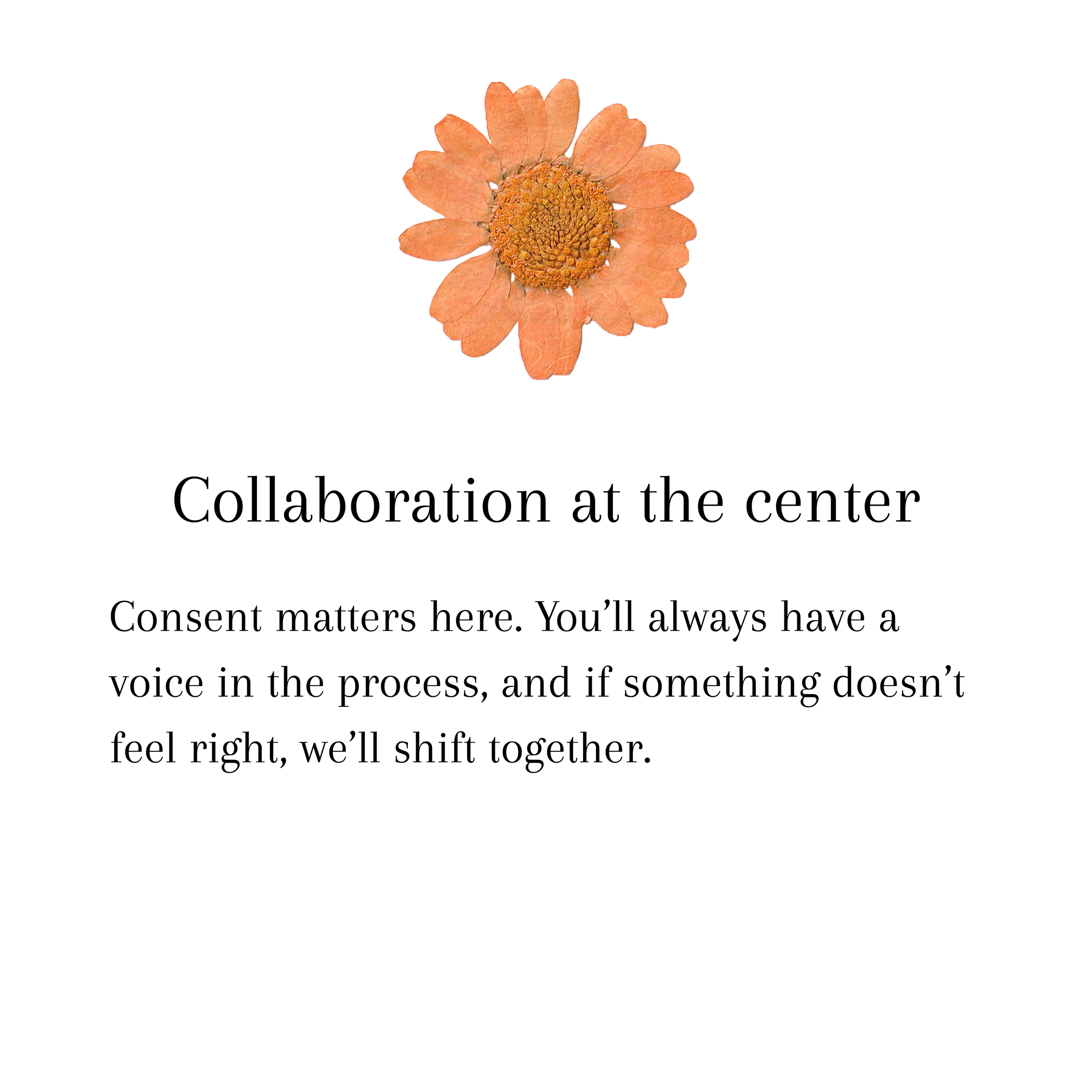 Collaboration at the center. Consent matters here. You’ll always have a voice in the process, and if something doesn’t feel right, we’ll shift together.