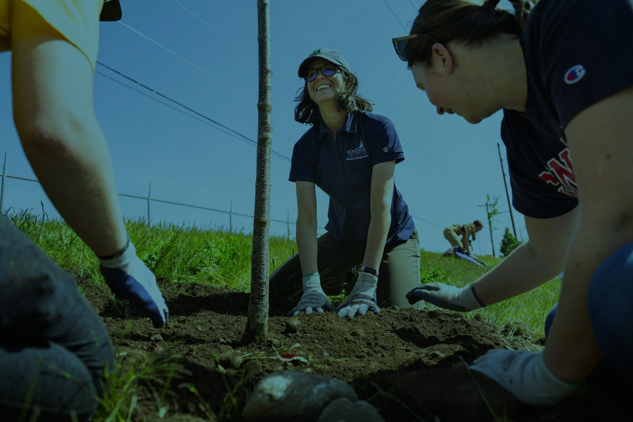 Students planting a tree