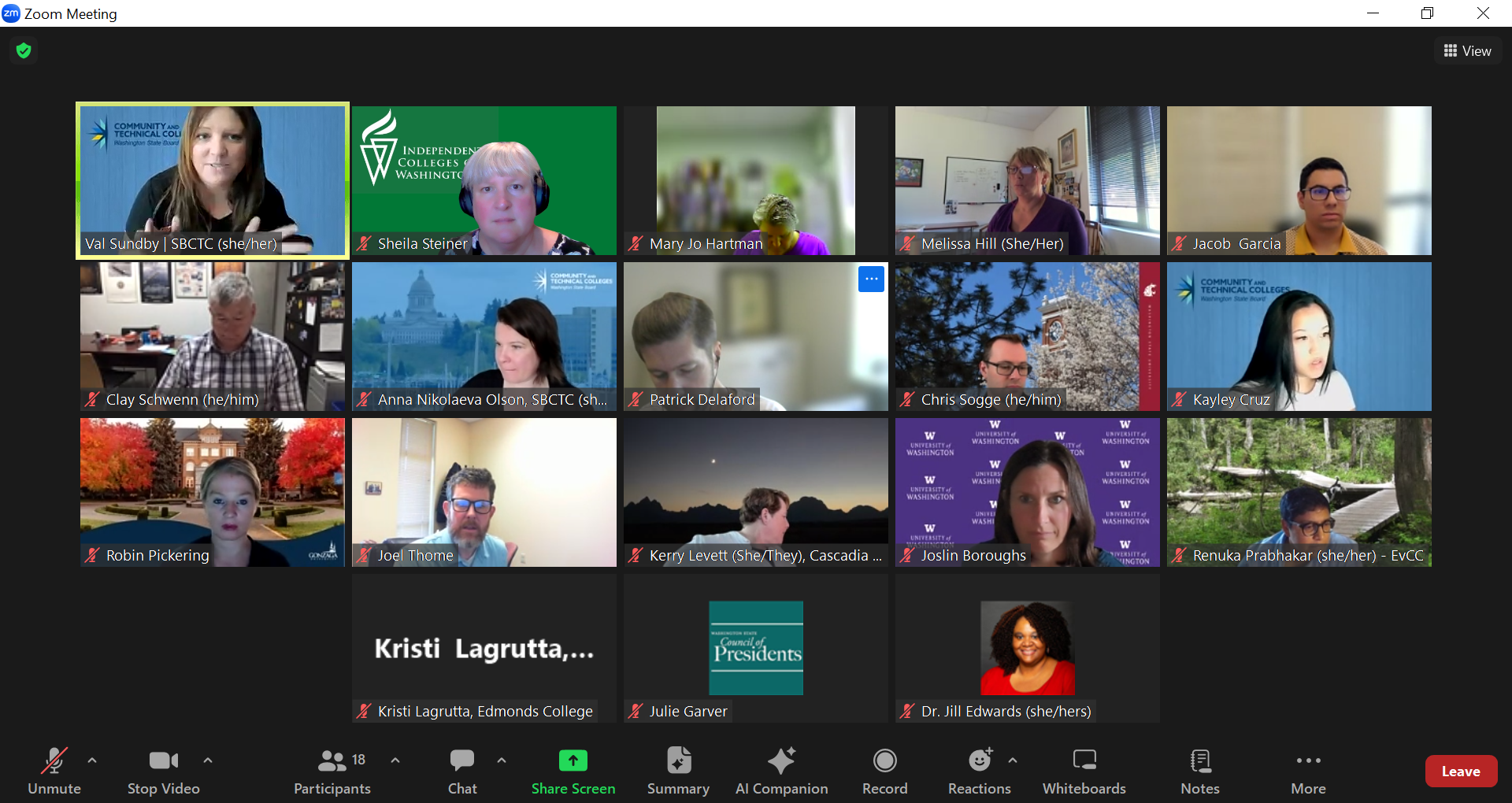 Zoom meeting screenshot showing multiple participants with various backgrounds, some with organization logos, including Val Sundby, Sheila Steiner, Mary Jo Hartman, Melissa Hill, Jacob Garcia, Clay Schwenn, Anna Nikolaeva Olson, Patrick Delaford, Chris Sogge, Kayley Cruz, Robin Pickering, Joel Thome, Kerry Levett, Joslin Boroughs, Renuka Prabhakar, Kristi Lagrutta, Julie Garver, Dr. Jill Edwards, and others in a video conference.