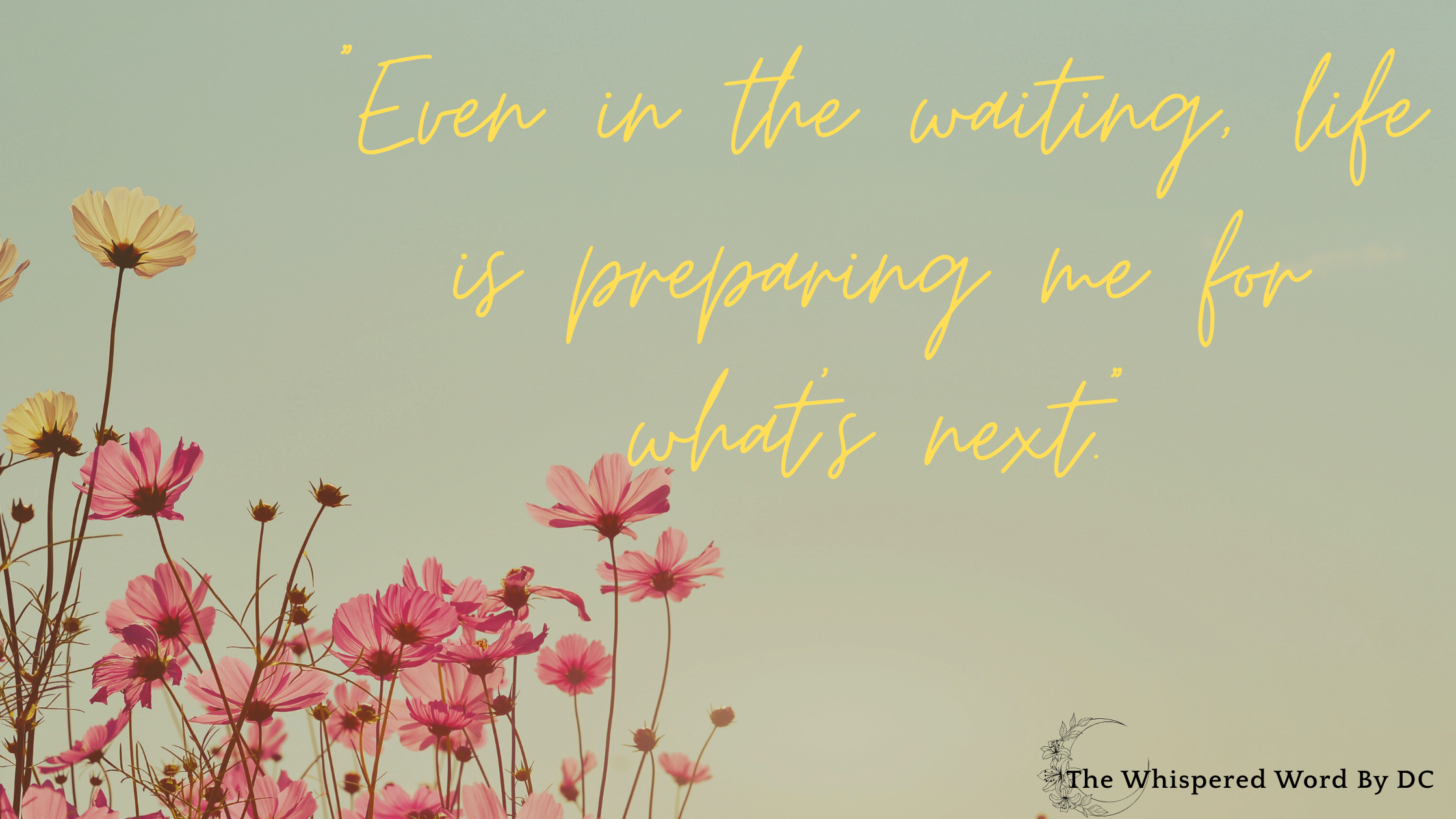 Tiny Seeds of Hope in the Everyday Chaos