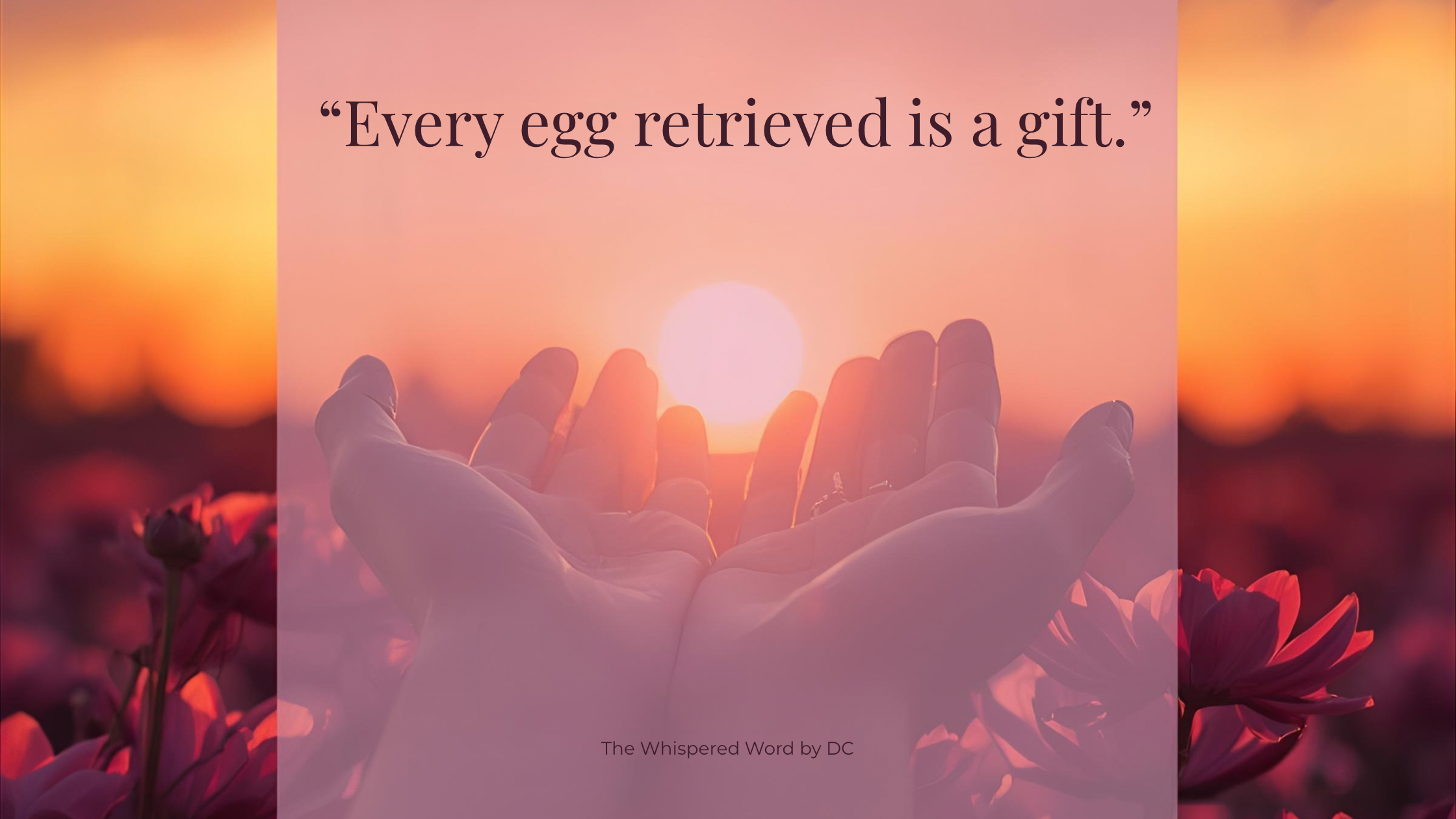 🌱 Egg Retrieval: Prayers, Mantras, and Gratitude