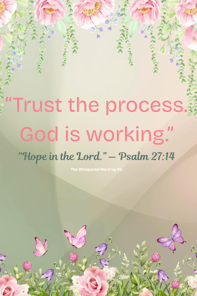 🌱 Trusting the Process: Moving Toward Implantation