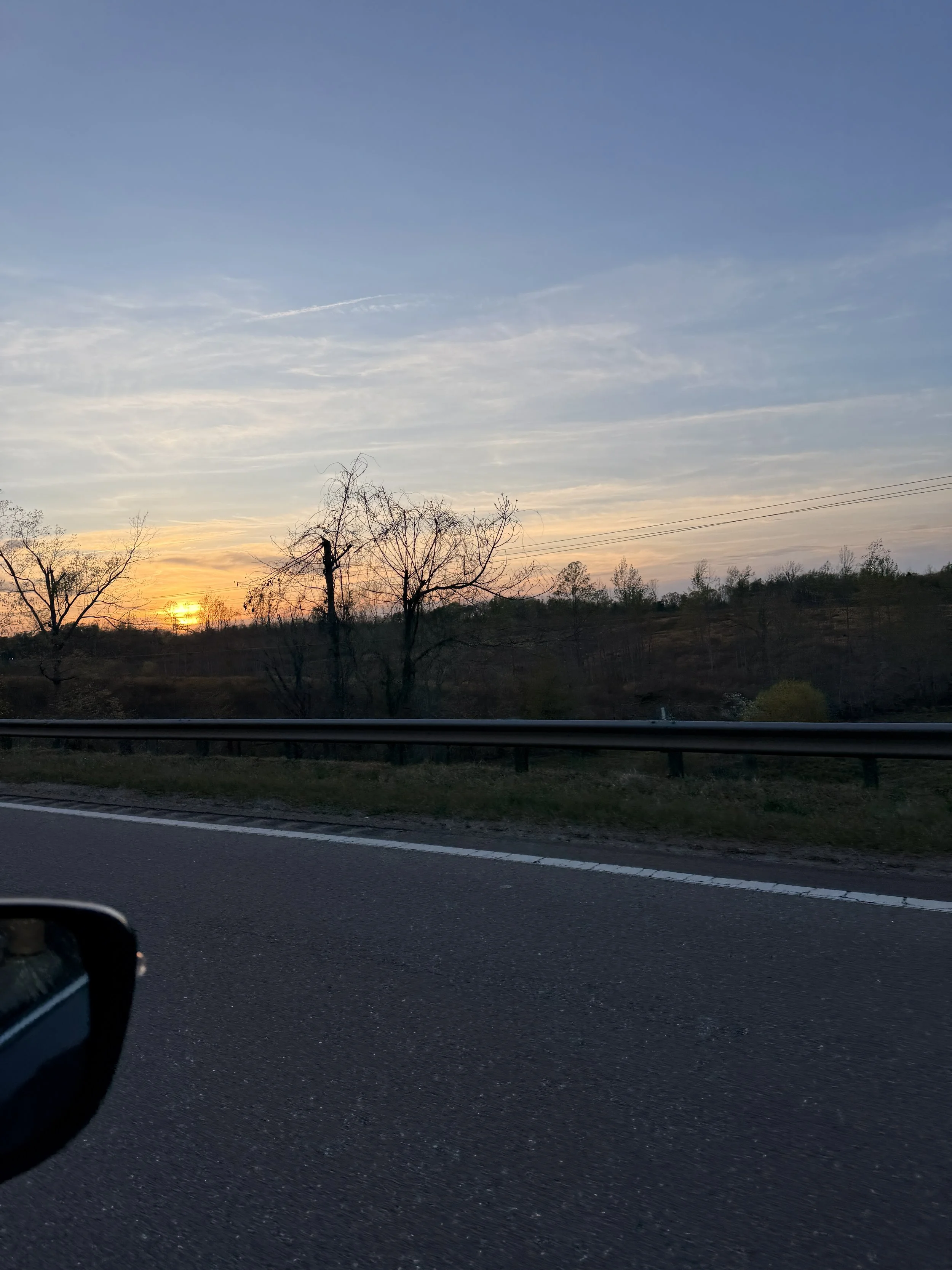 Spring Break Reflections: Pain, Peace, and a 5-Year-Old Dinosaur