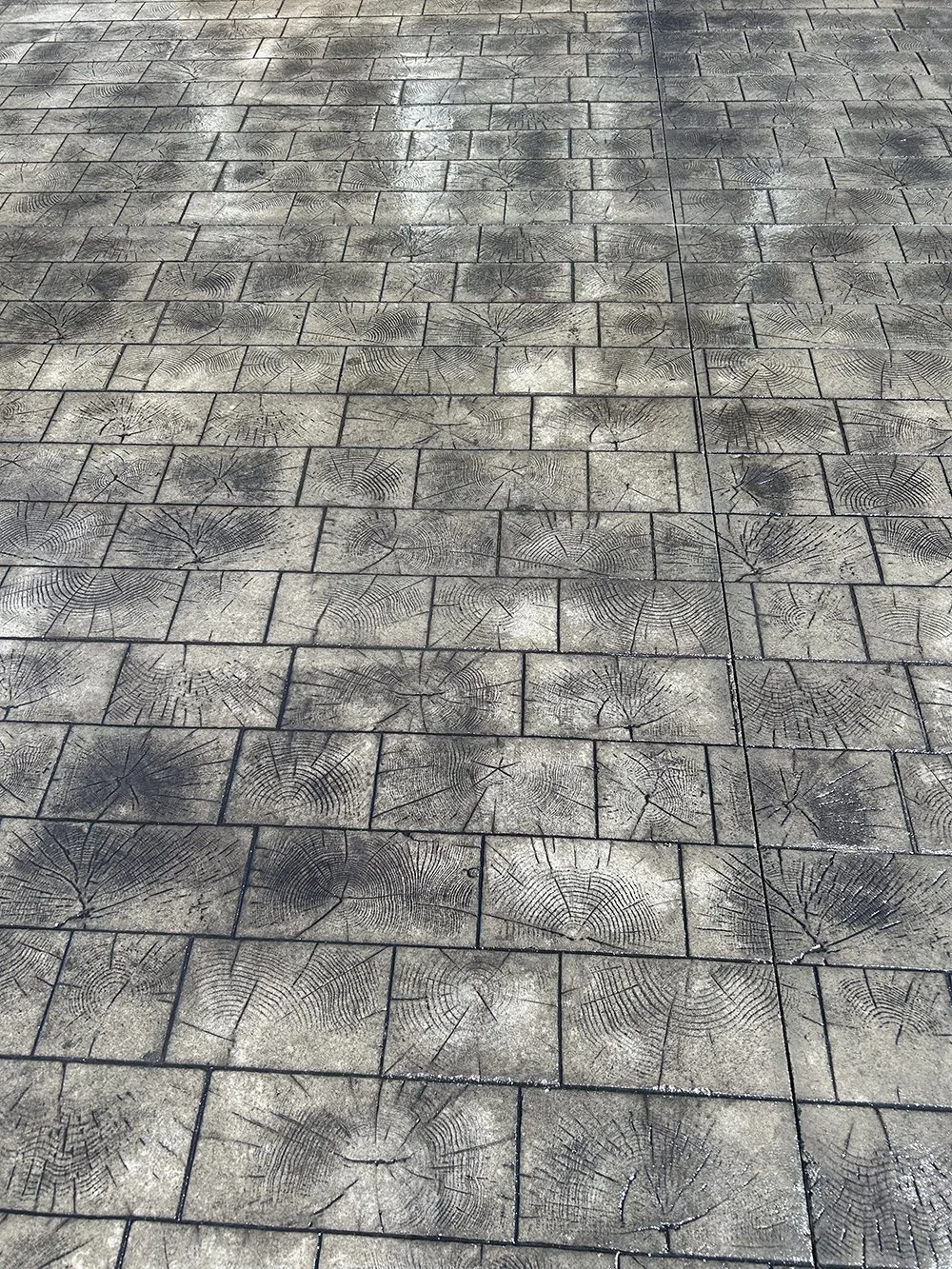 Close-up of pavement with stamped patterns resembling tree rings, possibly from wood slices, in a rectangular brick layout.