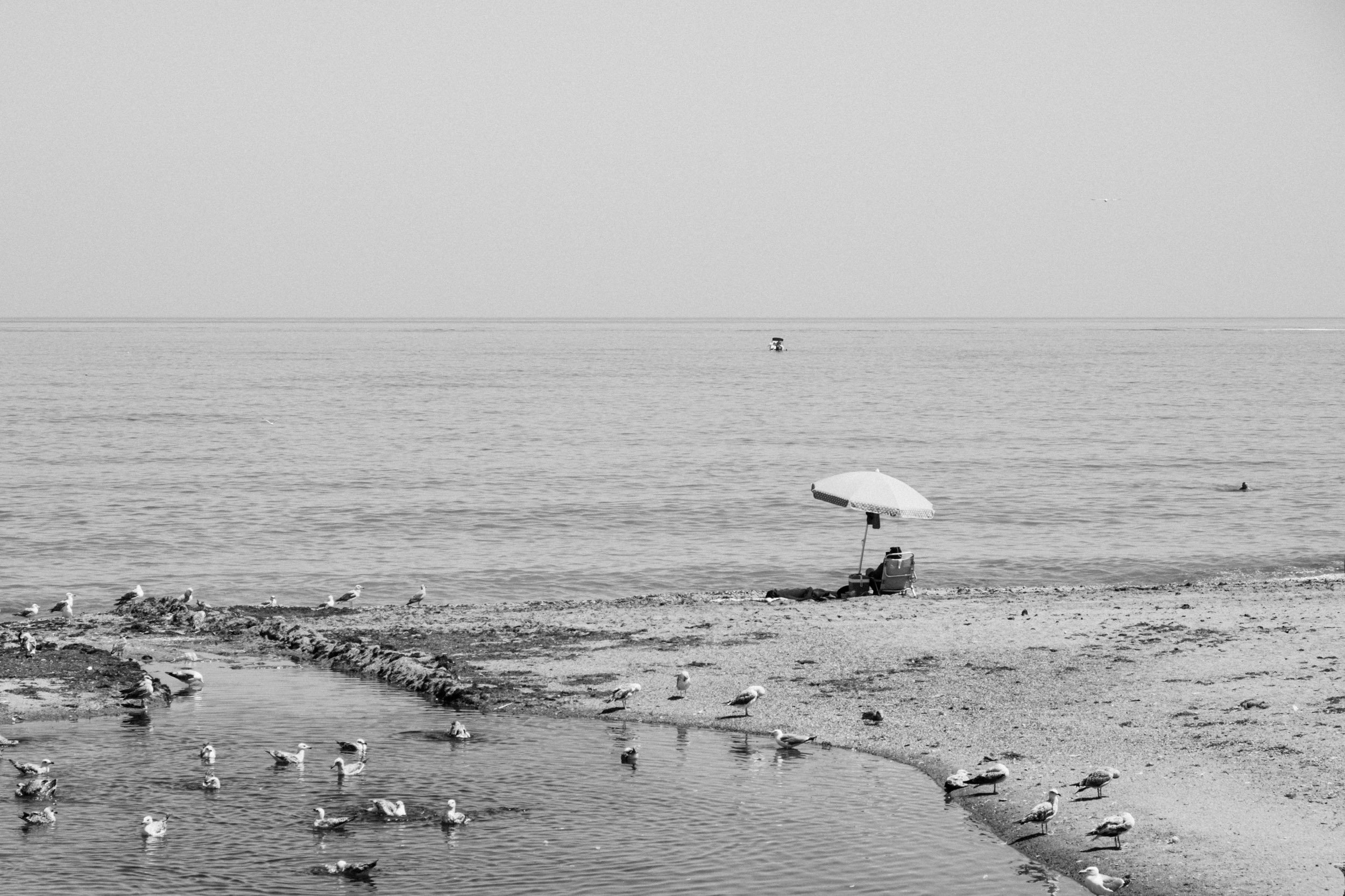 DSCF3612.jpg