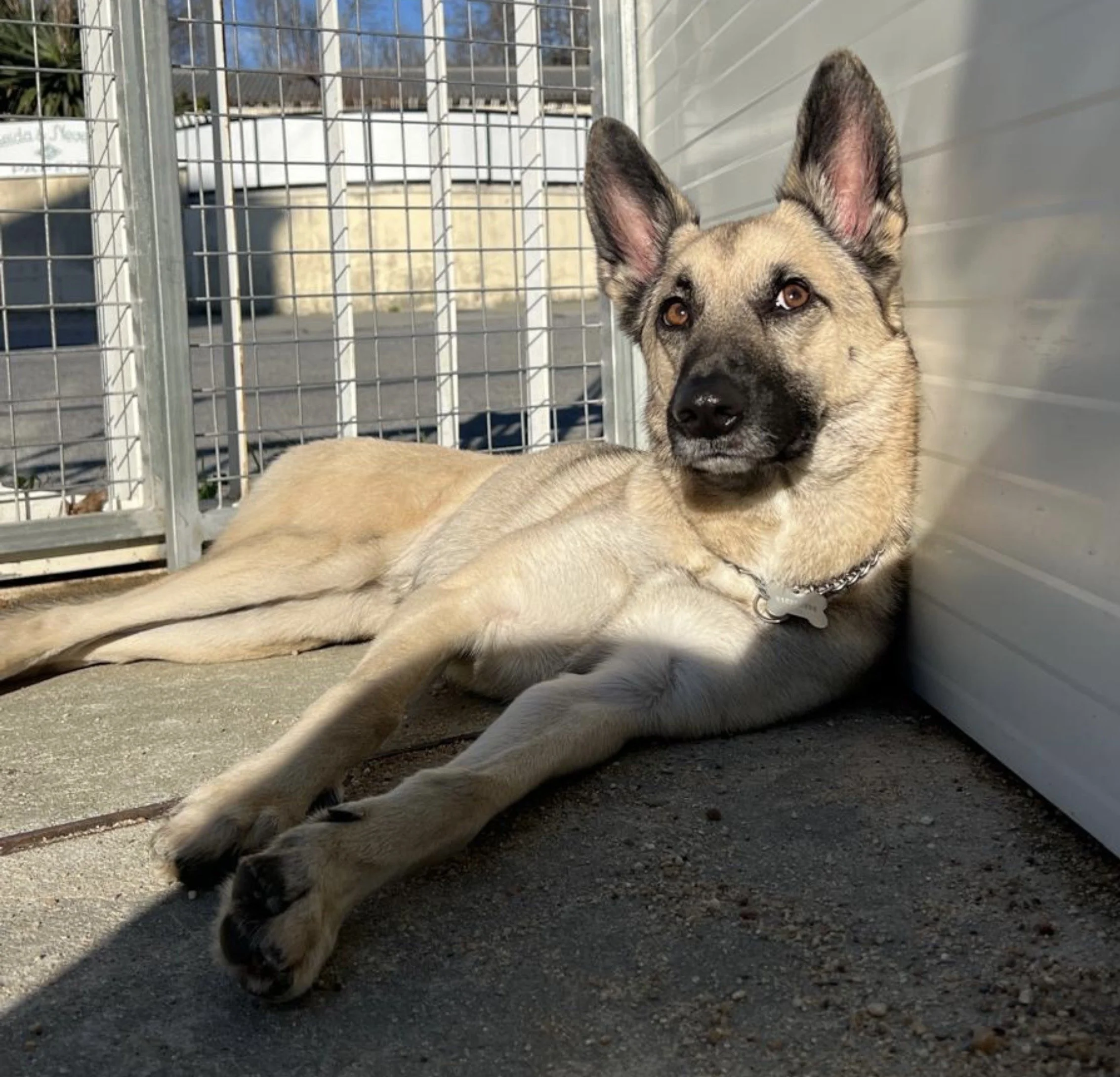 LEX Pet Hotel & Creche Canina