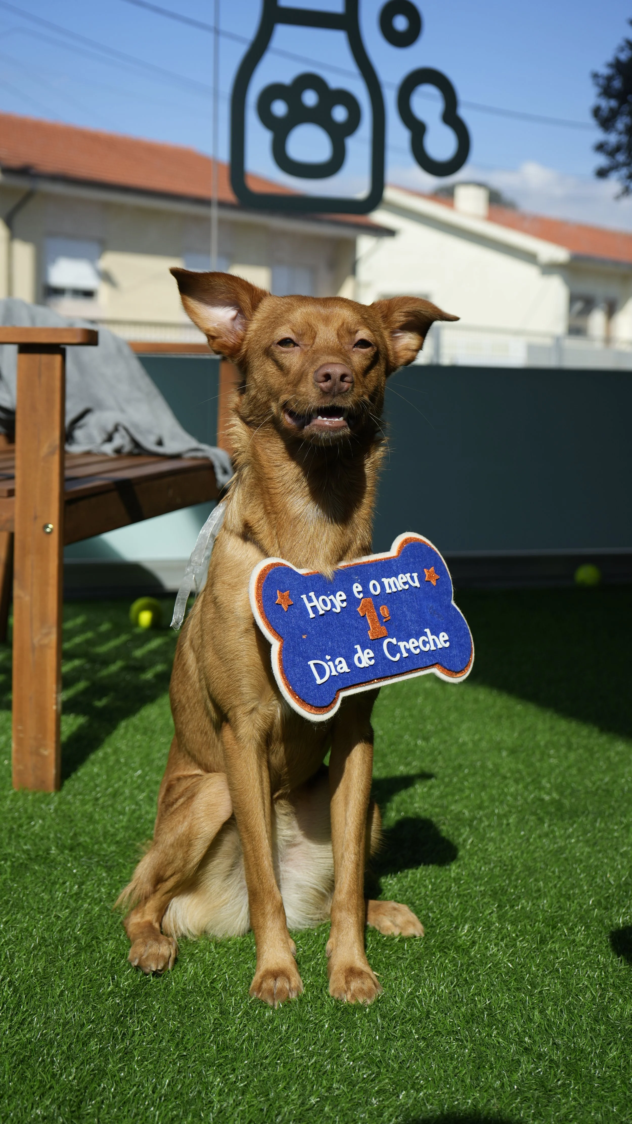 LEX Pet Hotel & Creche Canina