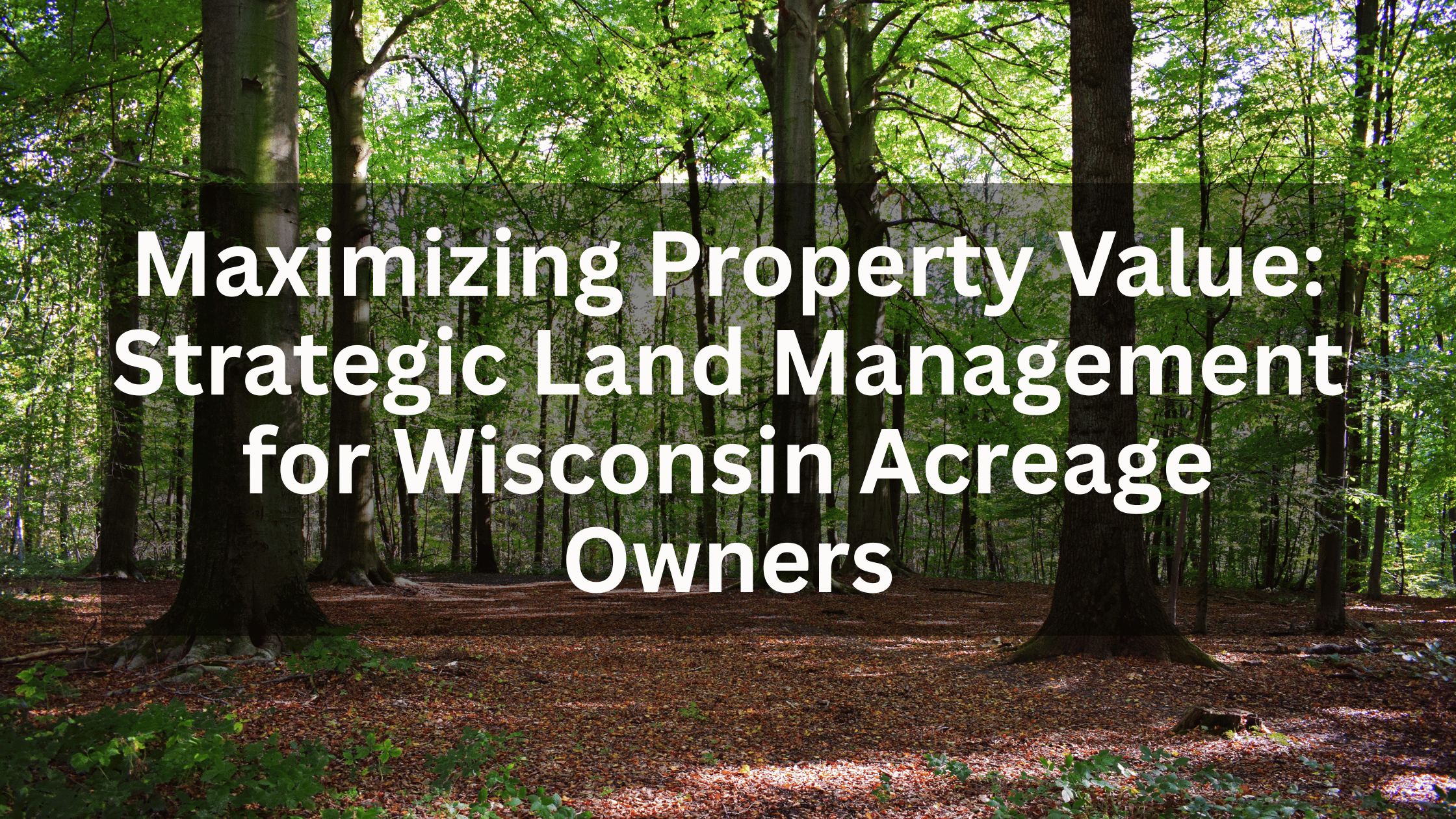 Maximizing Property Value: Strategic Land Management for Wisconsin ...