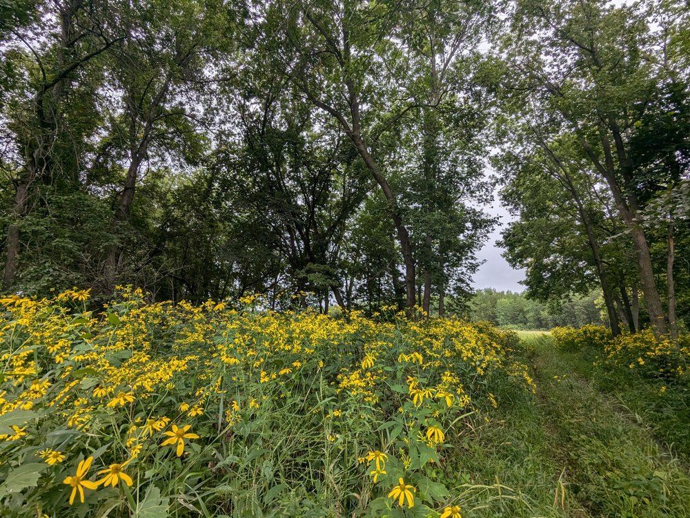 Native Lands and Waters LLC | Restore Your Land Today