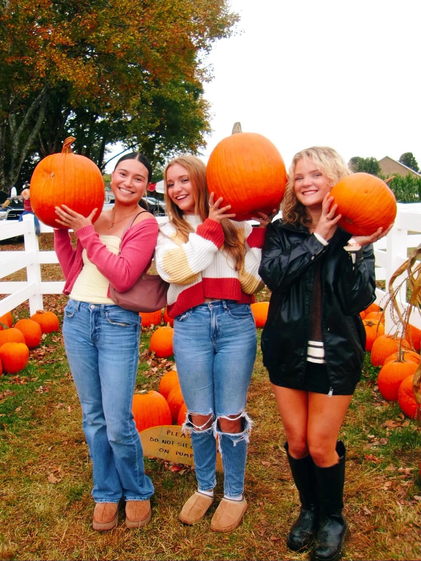 HEY PUMPKIN ;)

Our #WHYALPHAGAMWEDNESDAY is fall days with our sisters!🍁

#TENNESSEEAGD #WAGW #AACYWL