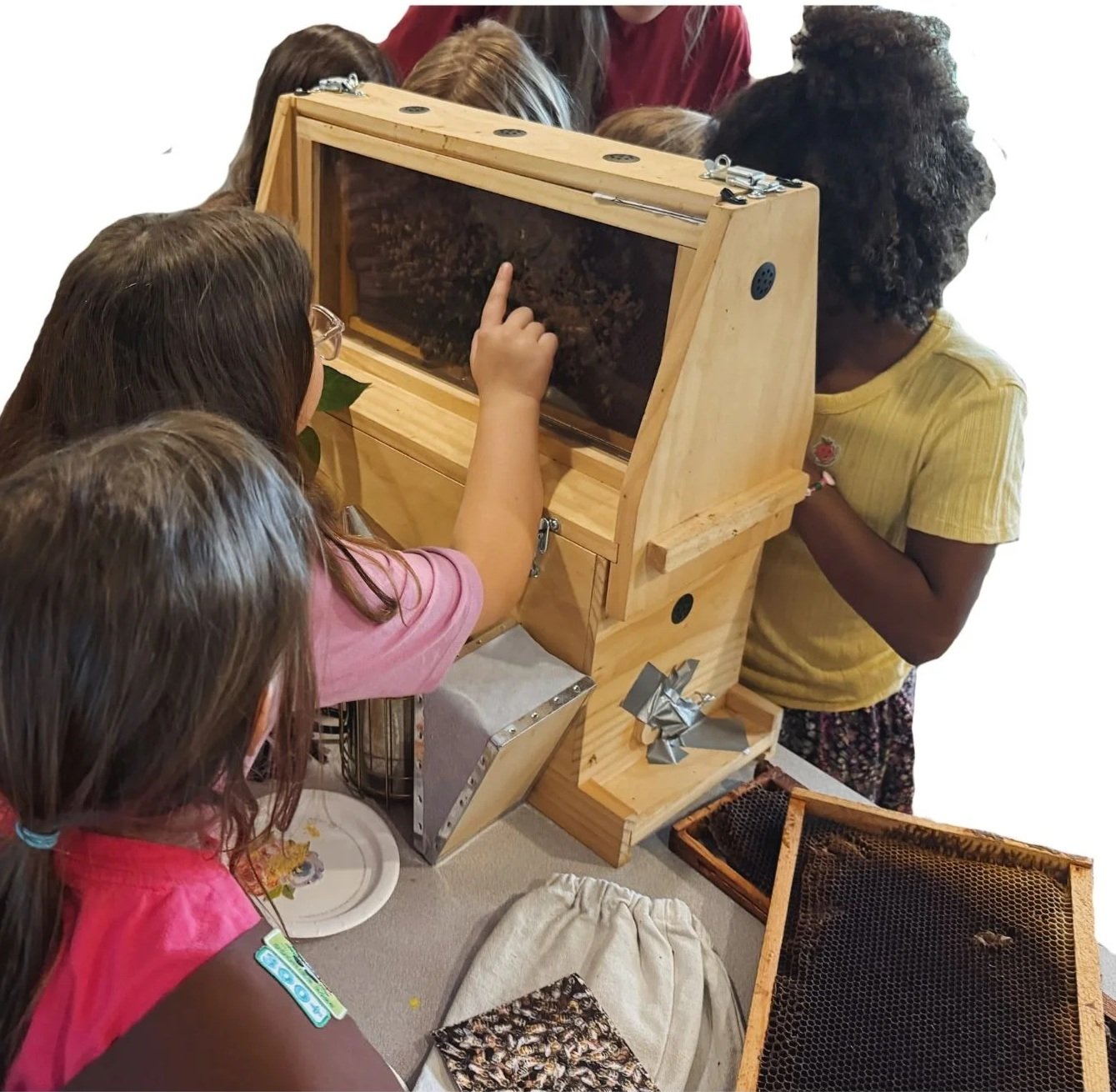 Bee Days at the Apiary — Happy Hive Bee Company