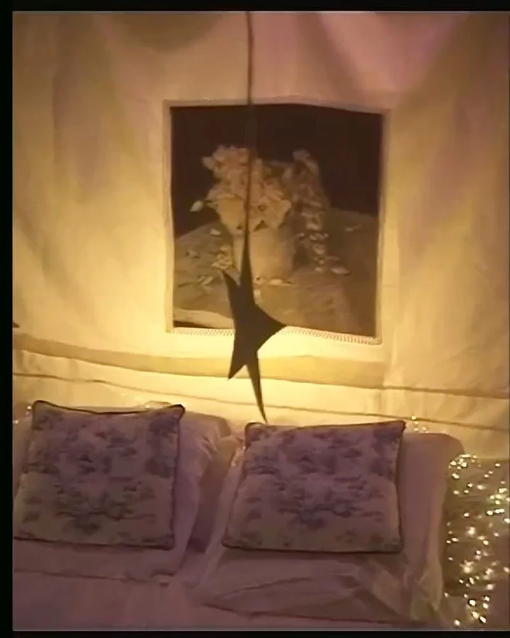 It&rsquo;s been great working with @ionabielby this year on the second season of @stargazershow 

Director: @ionabielby 
Cinematographer: @tomreeves 
Runner: @rachele.overlingaite