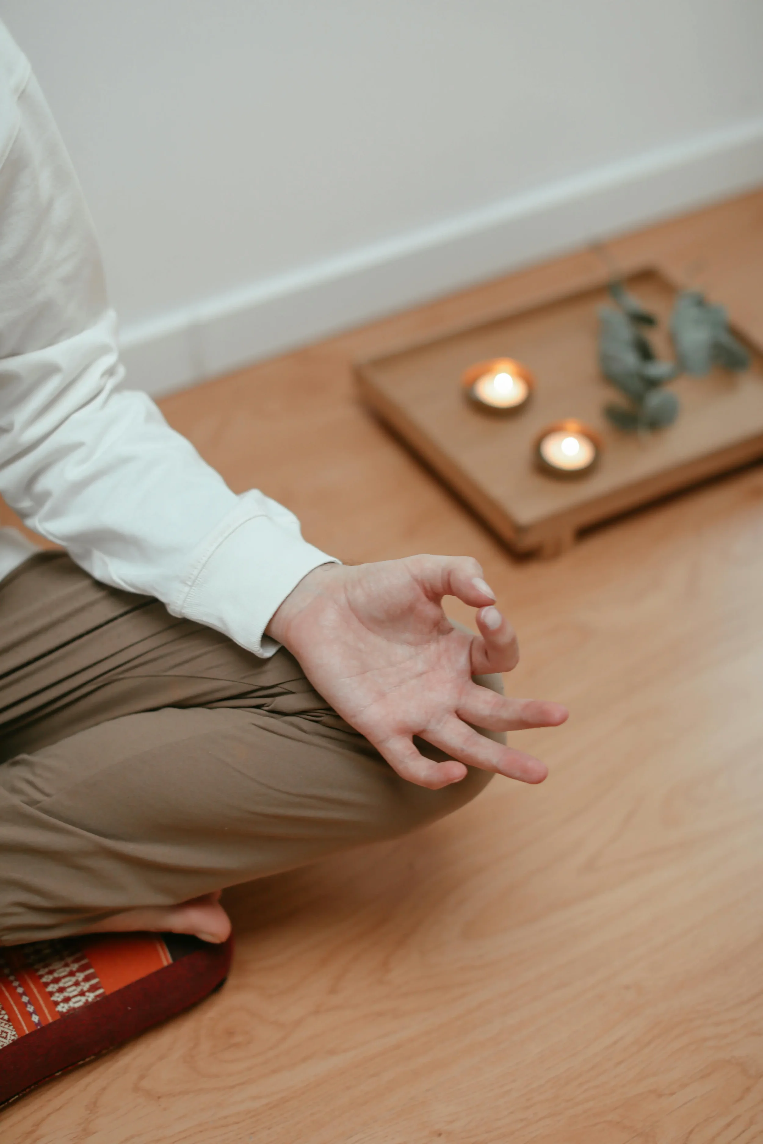 Getting Started with Mindfulness: A Beginner's Guide to Practice.