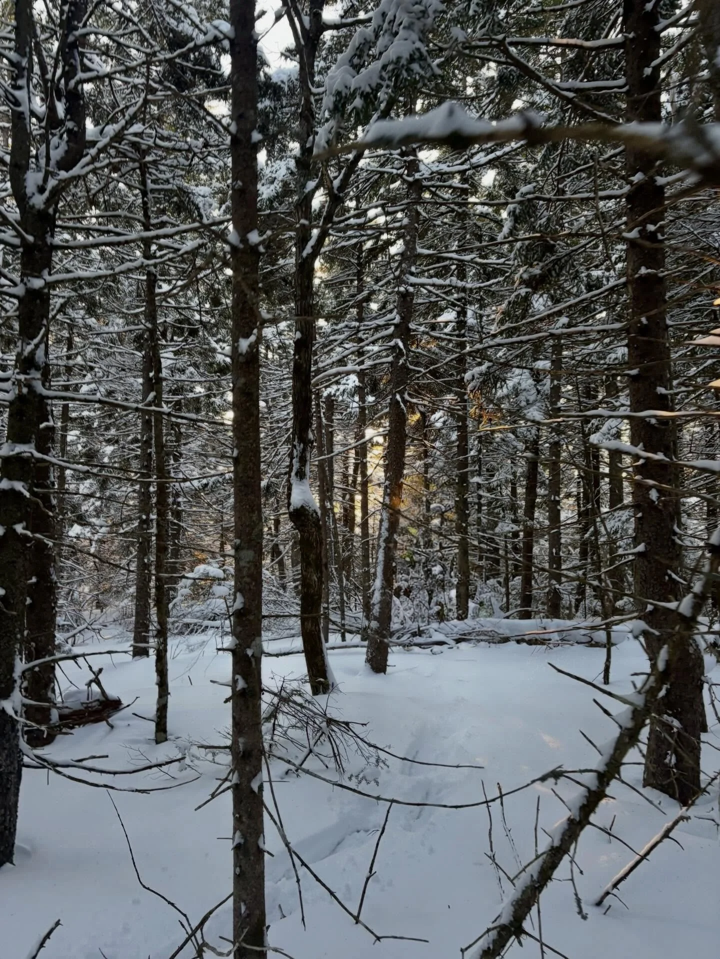 Time spent outdoors last weekend reminded us how precious our winters are. The trails empty out, plans simplify, and the season asks a little more of you just to show up. Braving the cold and coming back to real warmth feels earned. Maine winters hav