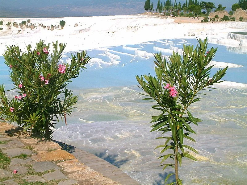 Pamukkale 2.jpg
