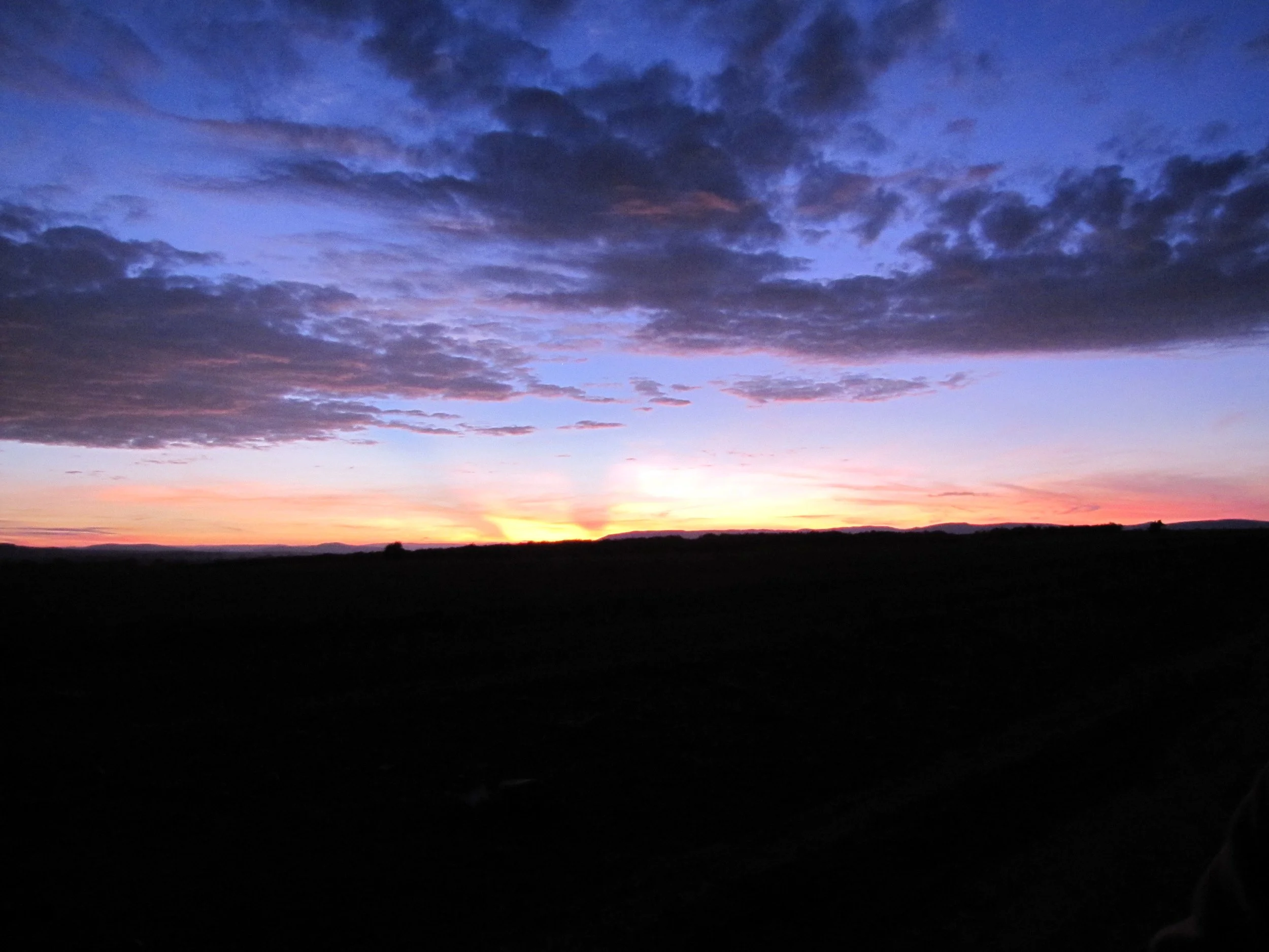 IMG_1426.JPG