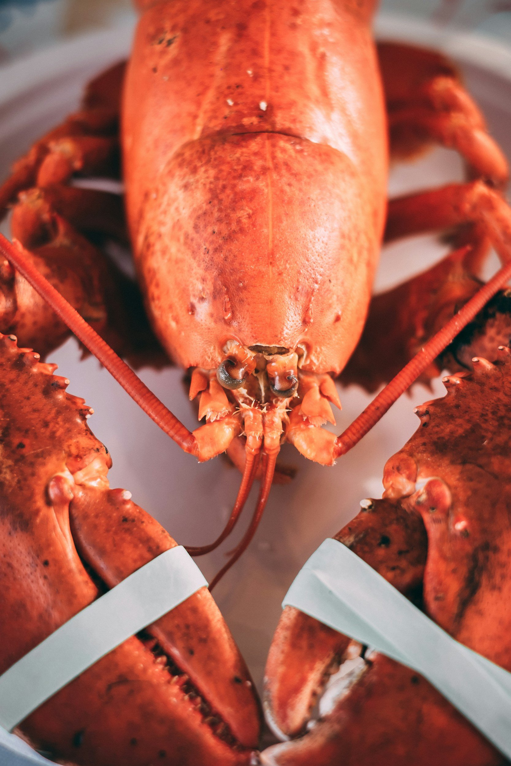 unsplash-image--O8dNtuT2v4.jpg