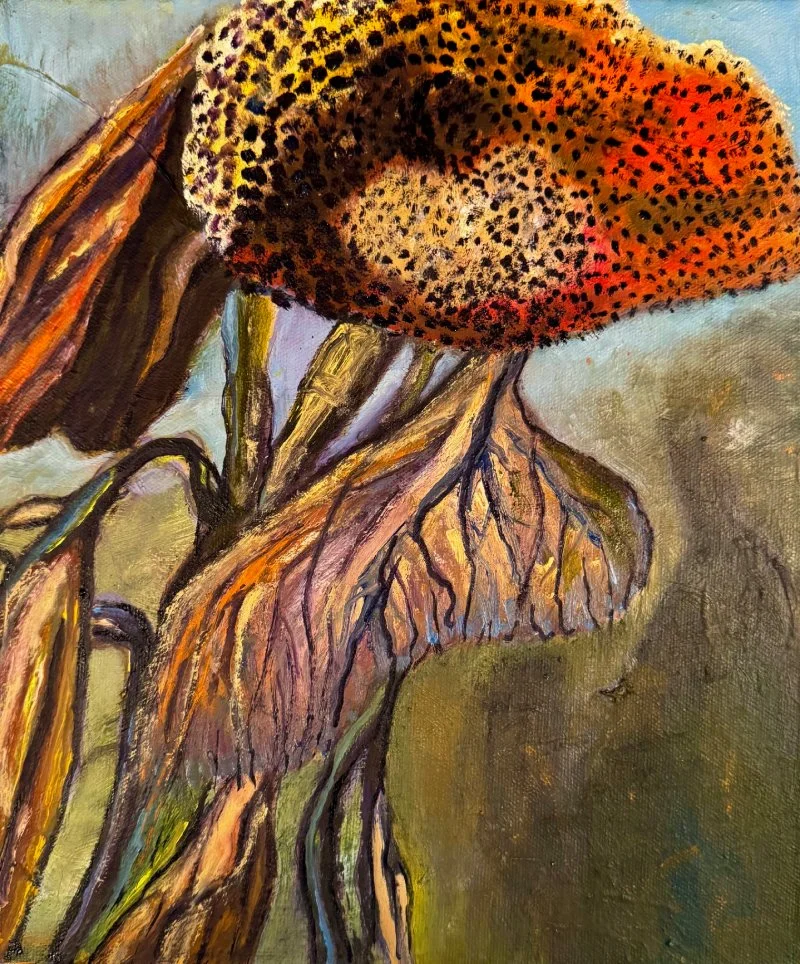 Dying Sunflower