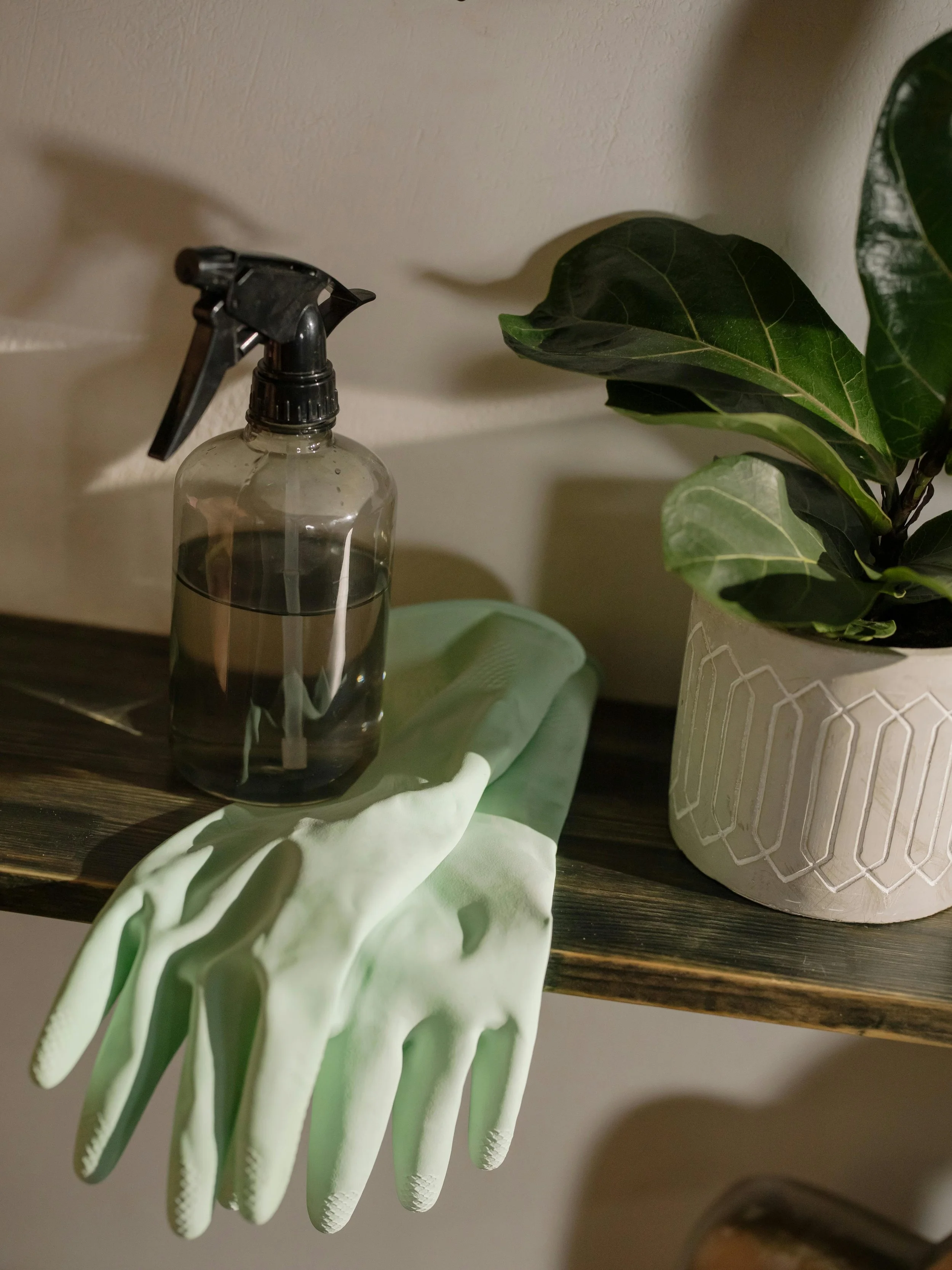A spray bottle and green rubber gloves on a wooden shelf next to a potted plant. A clean surface.
