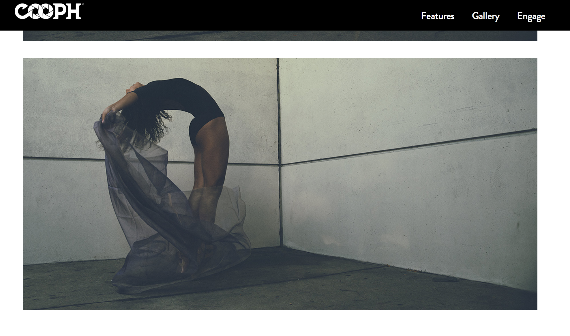 COOPH_March 2021_ Female photographer of the month_Chloe Pitterson_9.png