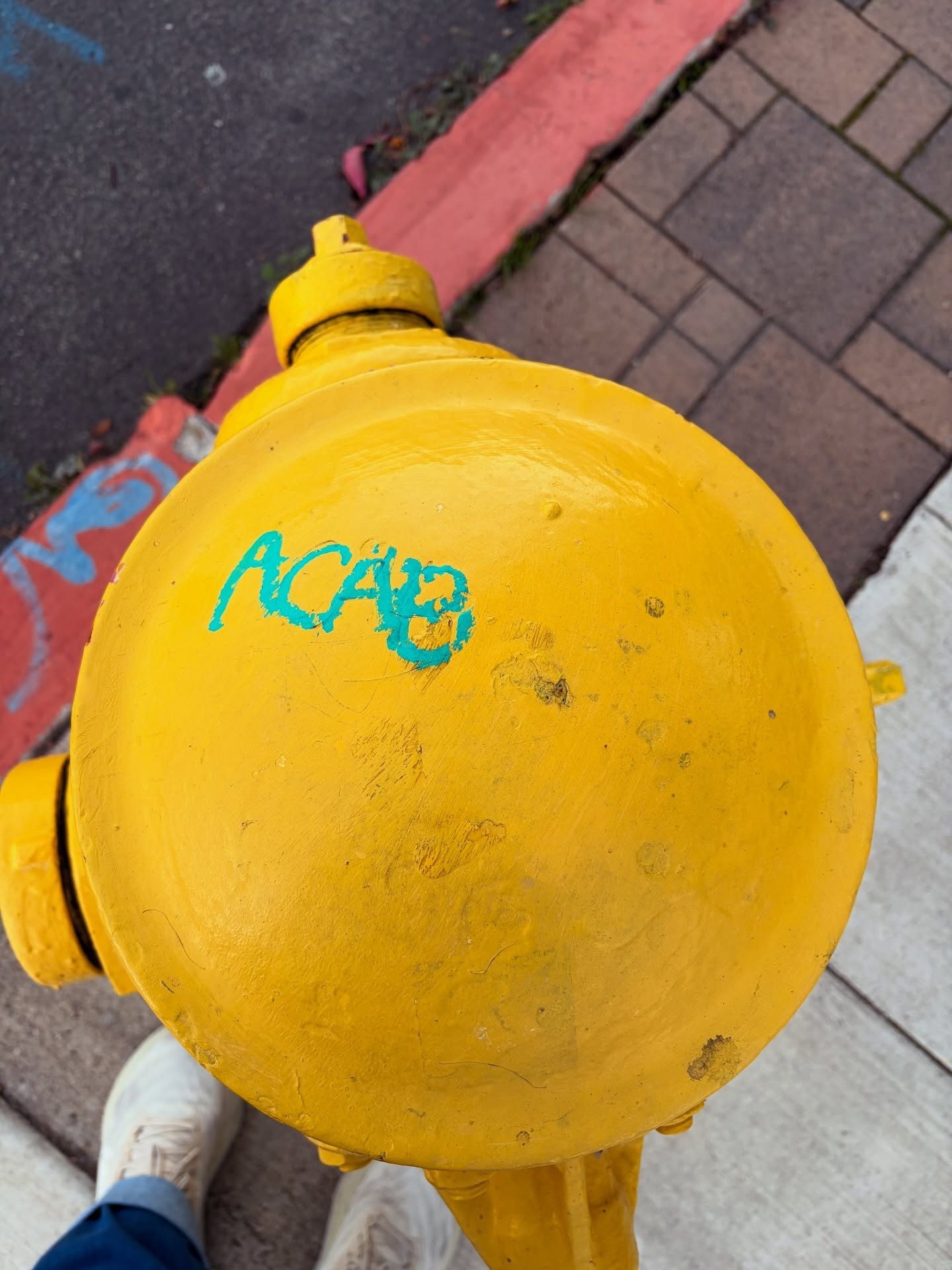 Life Lately. San Diego, December 2025:
 
- A GORGEOUS fire hydrant. 😘
- Ran into these cuties at Baja Betty&rsquo;s, Hillcrest
- We&rsquo;ve entered the Jeffreyverse!
- Stickermania.
- Oats General, Hillcrest
- Hillcrest Sign, Hillcrest
- Dinner at 