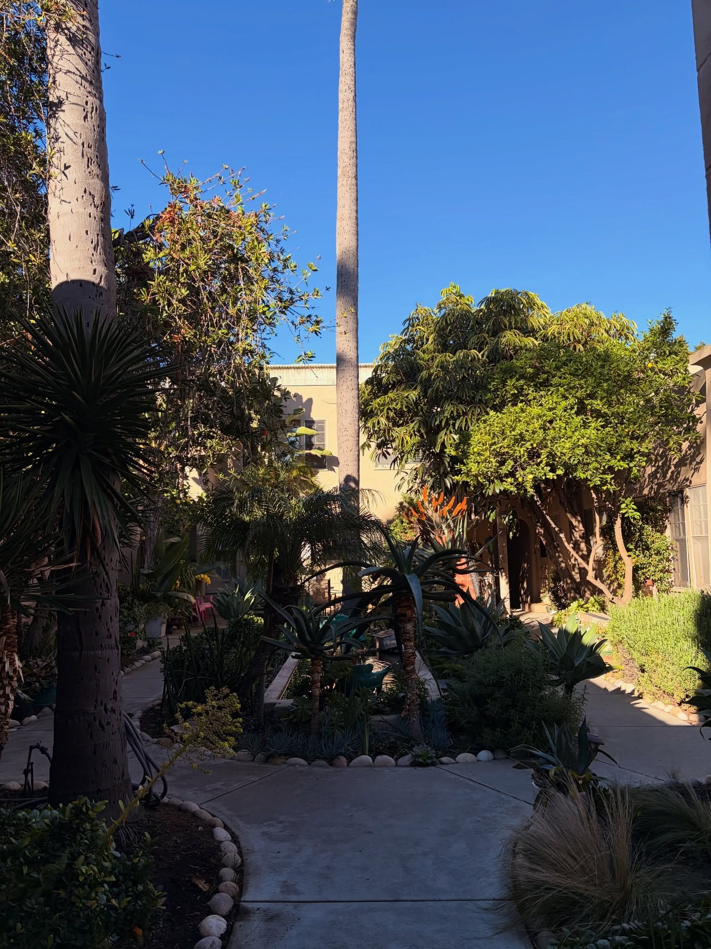 Little bit of life lately. 

De San Diego con amor,
Marcos &amp; Robert