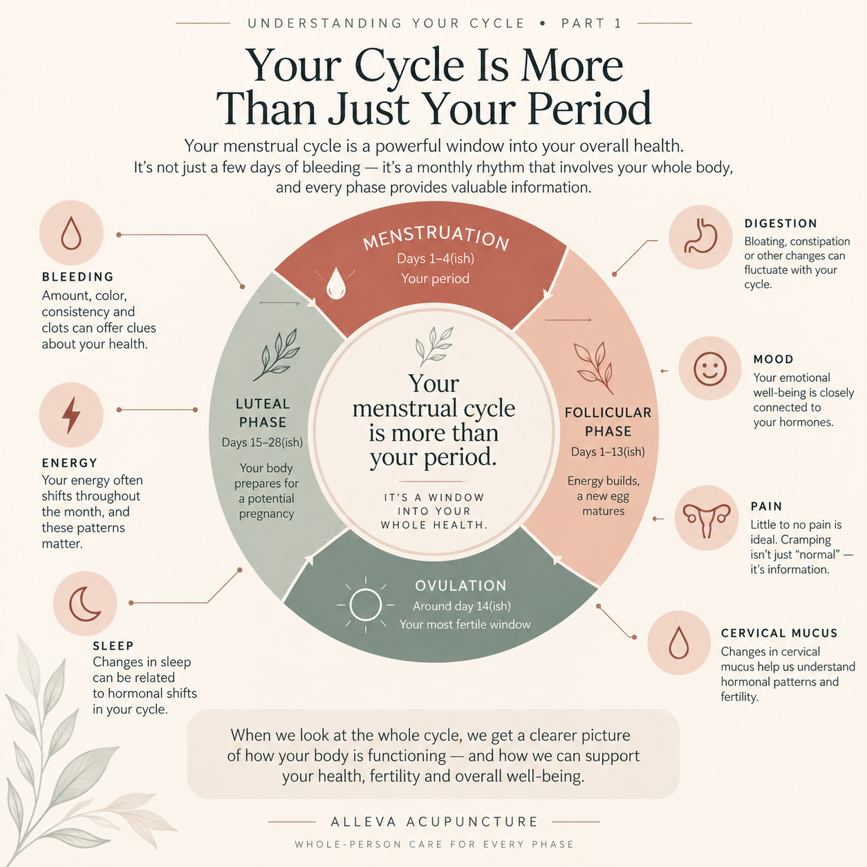 What Your Menstrual Cycle Can Tell You About Your Health