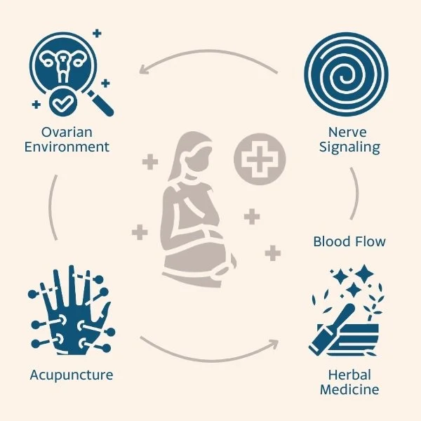 Graph shows how incorporating TCM helps with fertility