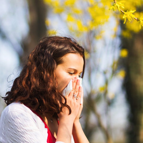 spring allergies in Northern Virginia