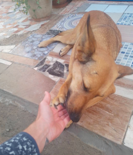 Screen Shot 2025-06-19 at 4.01.58 pm.png