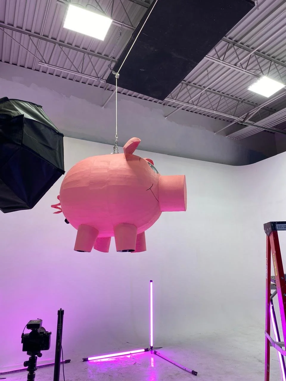 pig finish side.jpeg