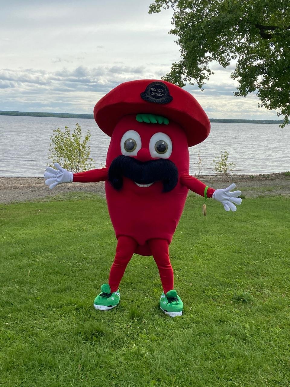 Mascot Costumes & Mojiganga