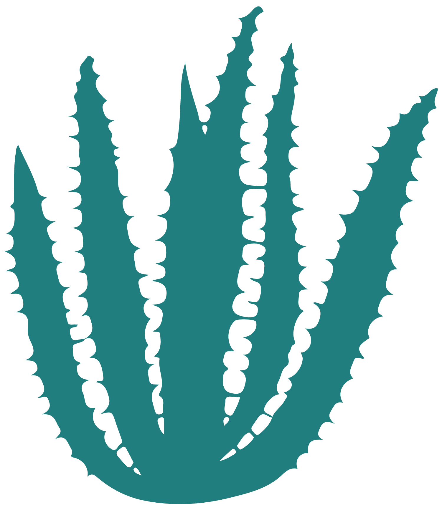 Illustration of a small teal cactus with multiple long, pointed, and spiny arms