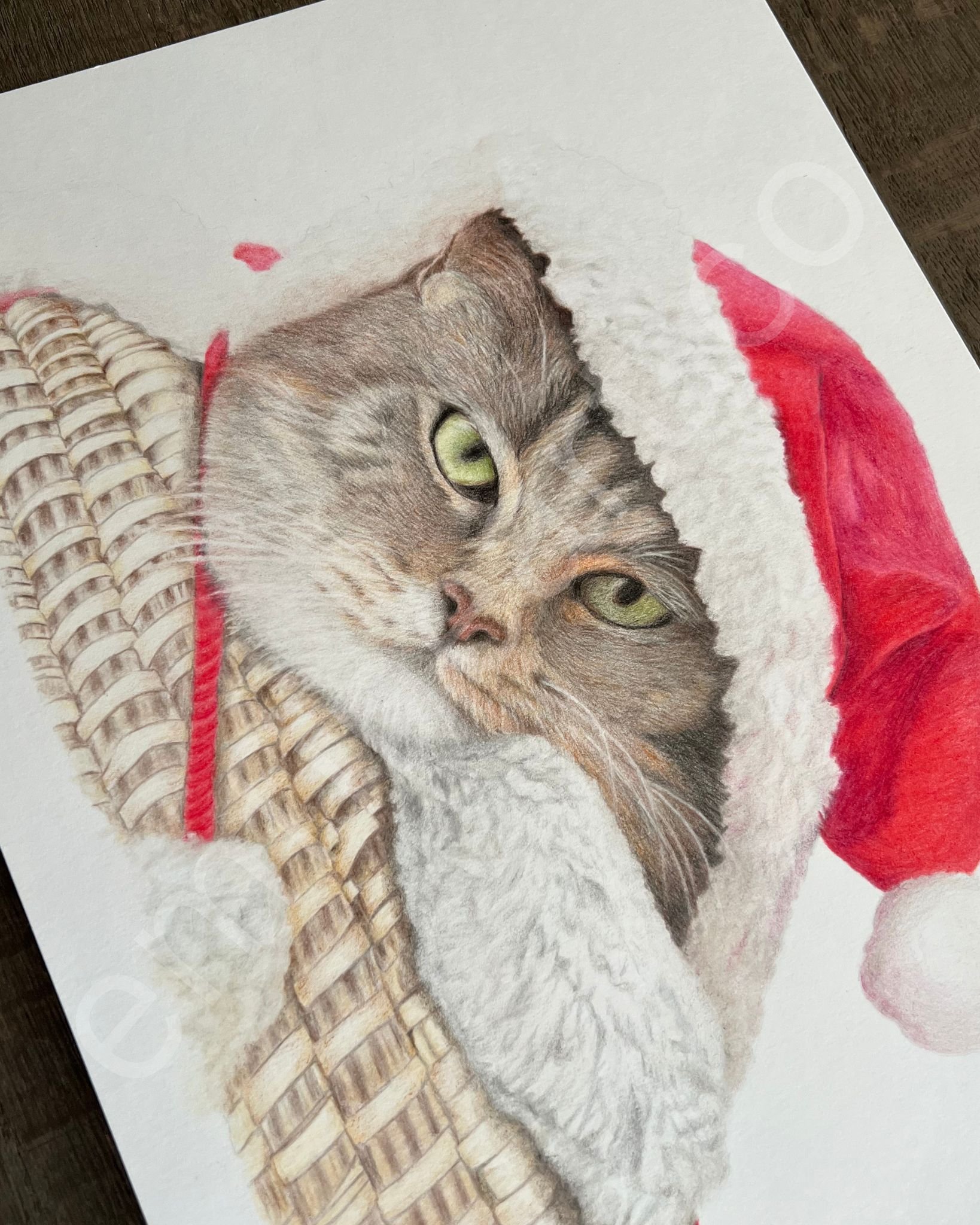 holidaycat2.jpg