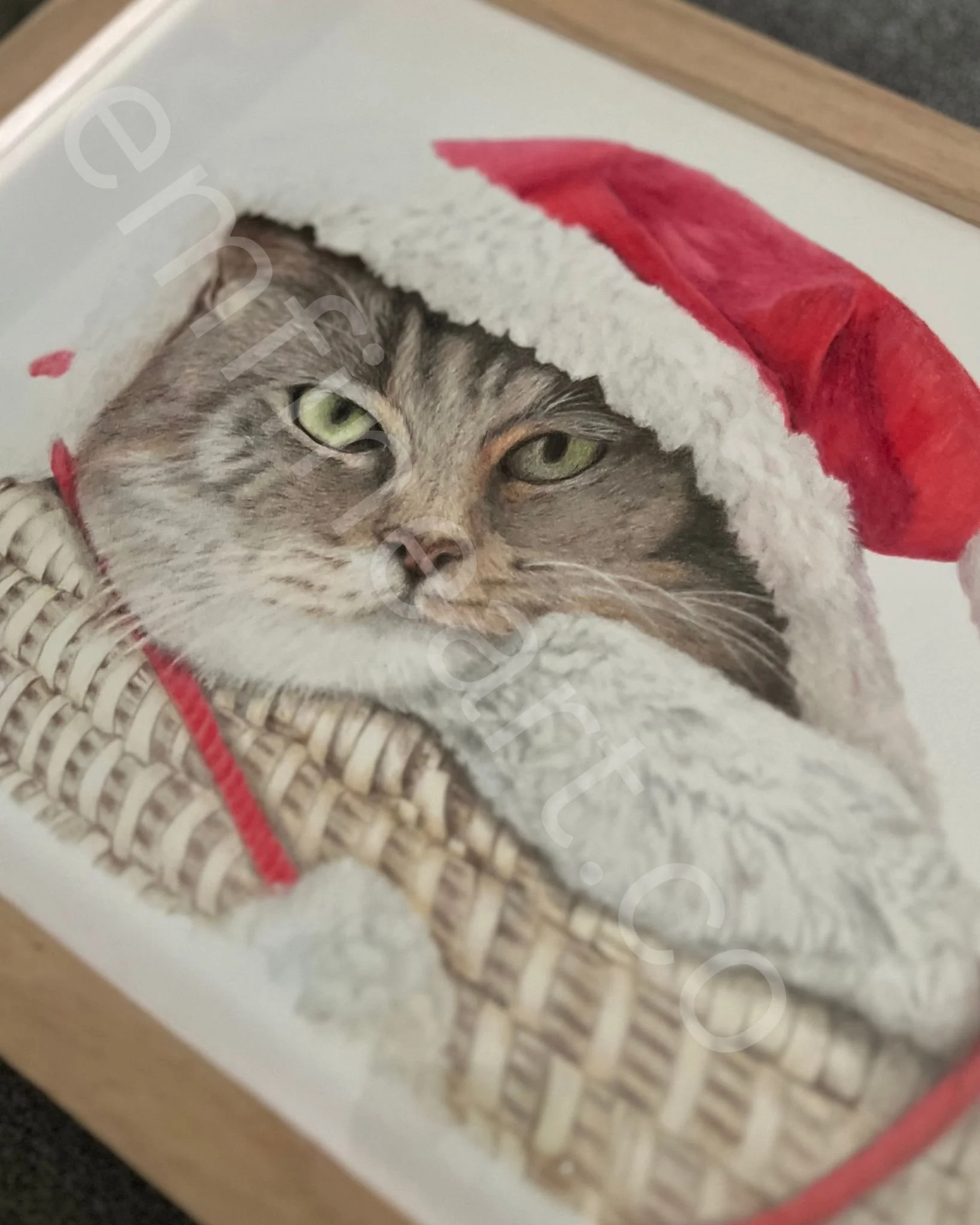 Cozy Christmas Cat with Santa Hat – Original Realistic Colored Pencil Cat Portrait