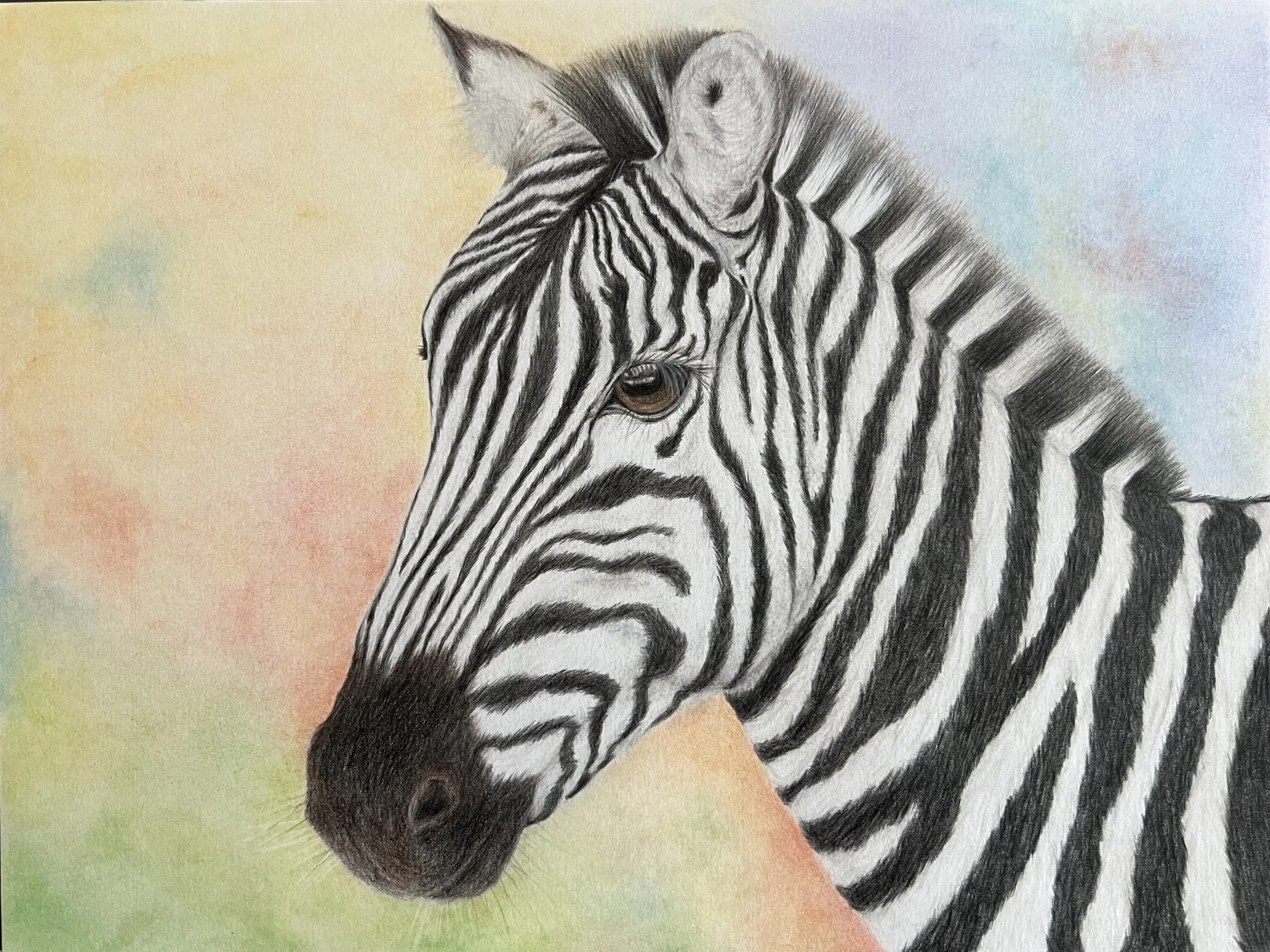 Nasinka (Shining Star) – Colorful Zebra Portrait Inspired by Maasai Mara Culture | Original Colored Pencil Art