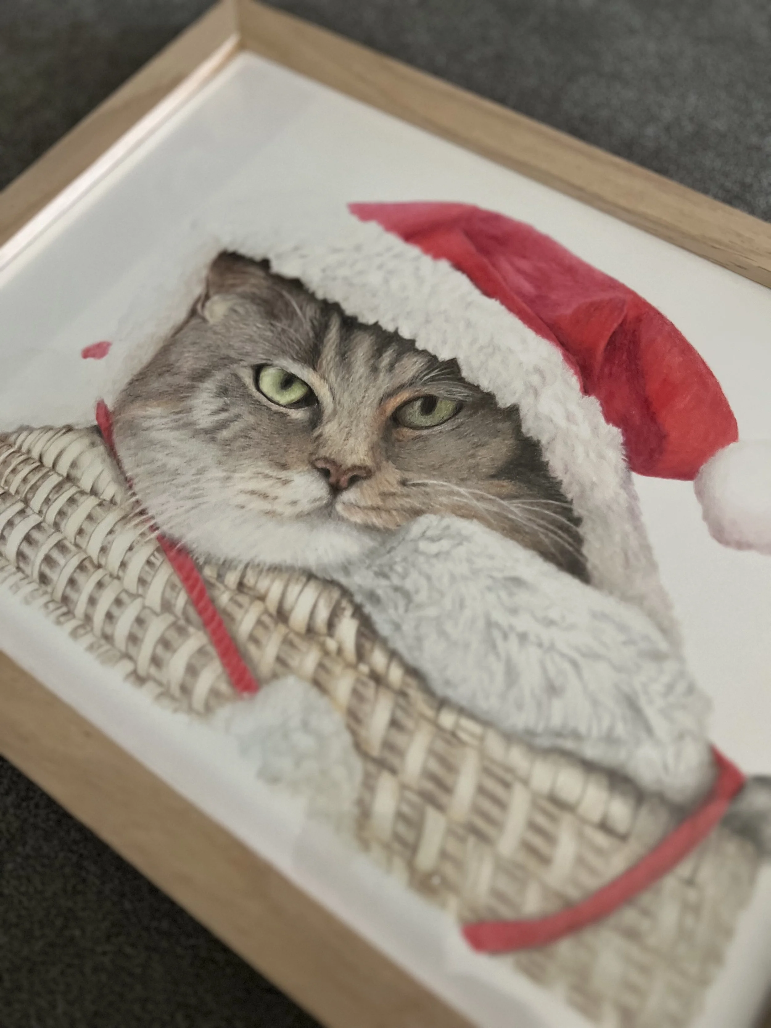 Cozy Christmas Cat with Santa Hat – Original Realistic Colored Pencil Cat Portrait
