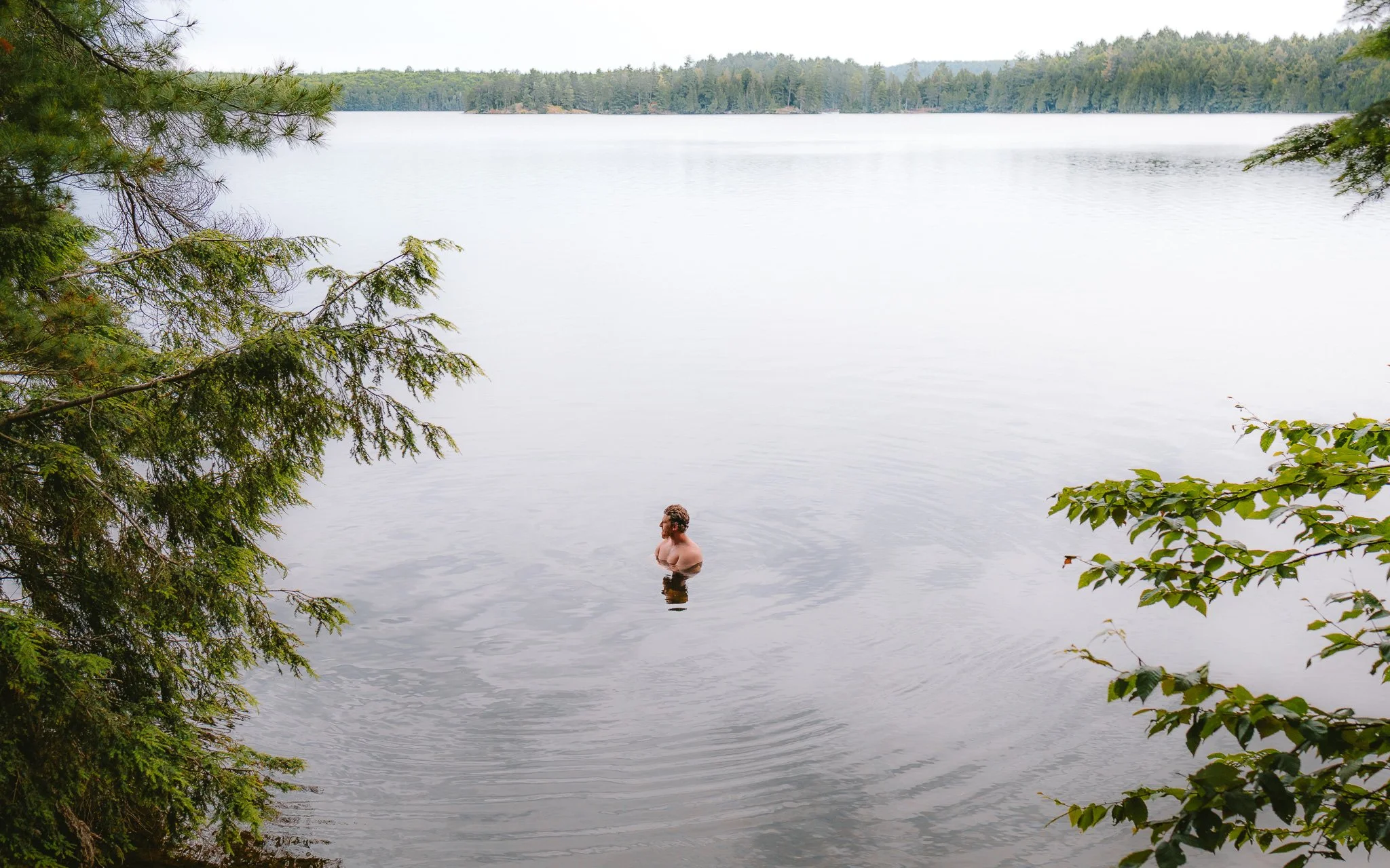 A person swimming in a calm lake surrounded by trees and forest, with a distant shoreline and a cloudy sky.