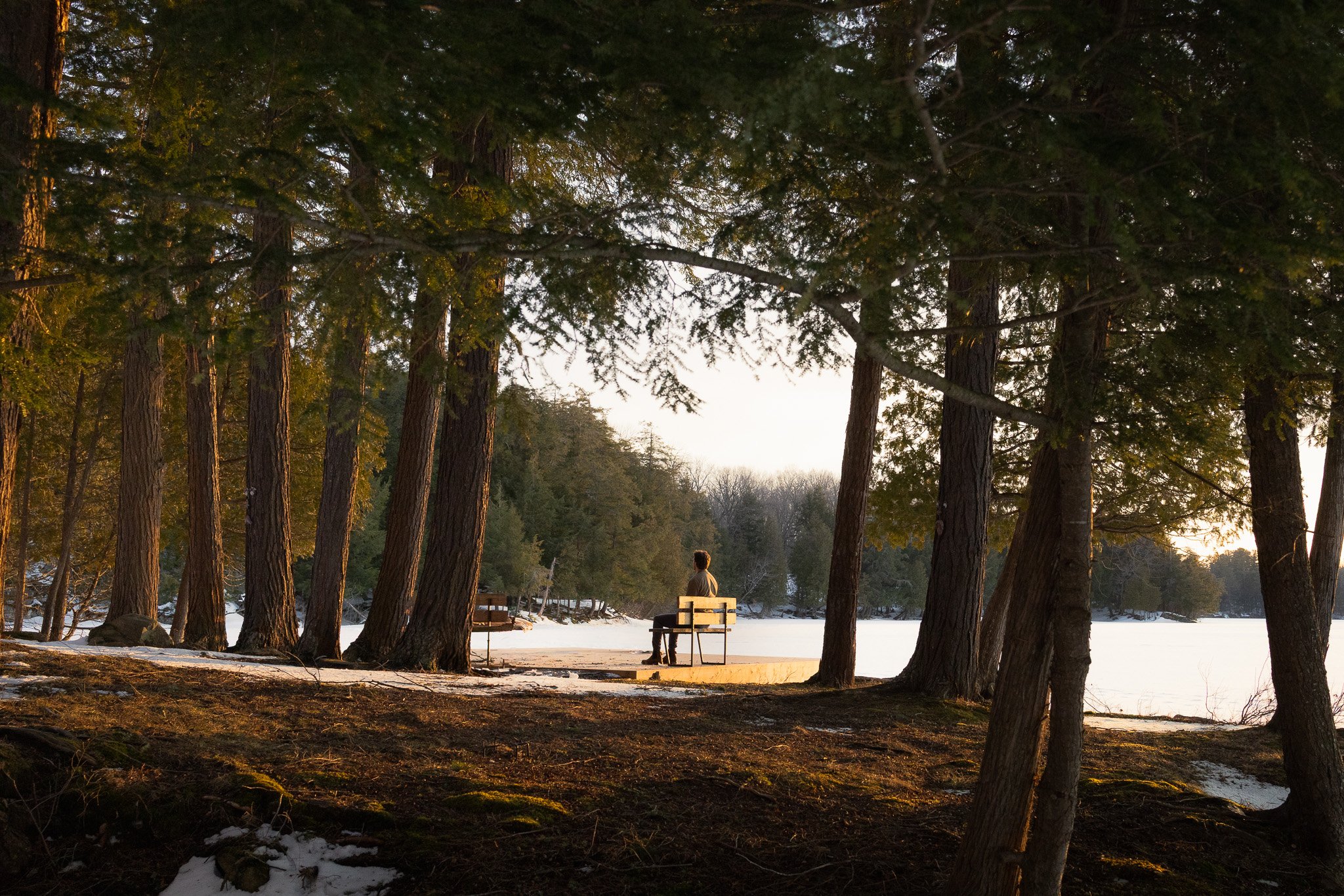 A person sitting alone on a bench near a frozen lake, surrounded by tall trees, during sunset in winter.