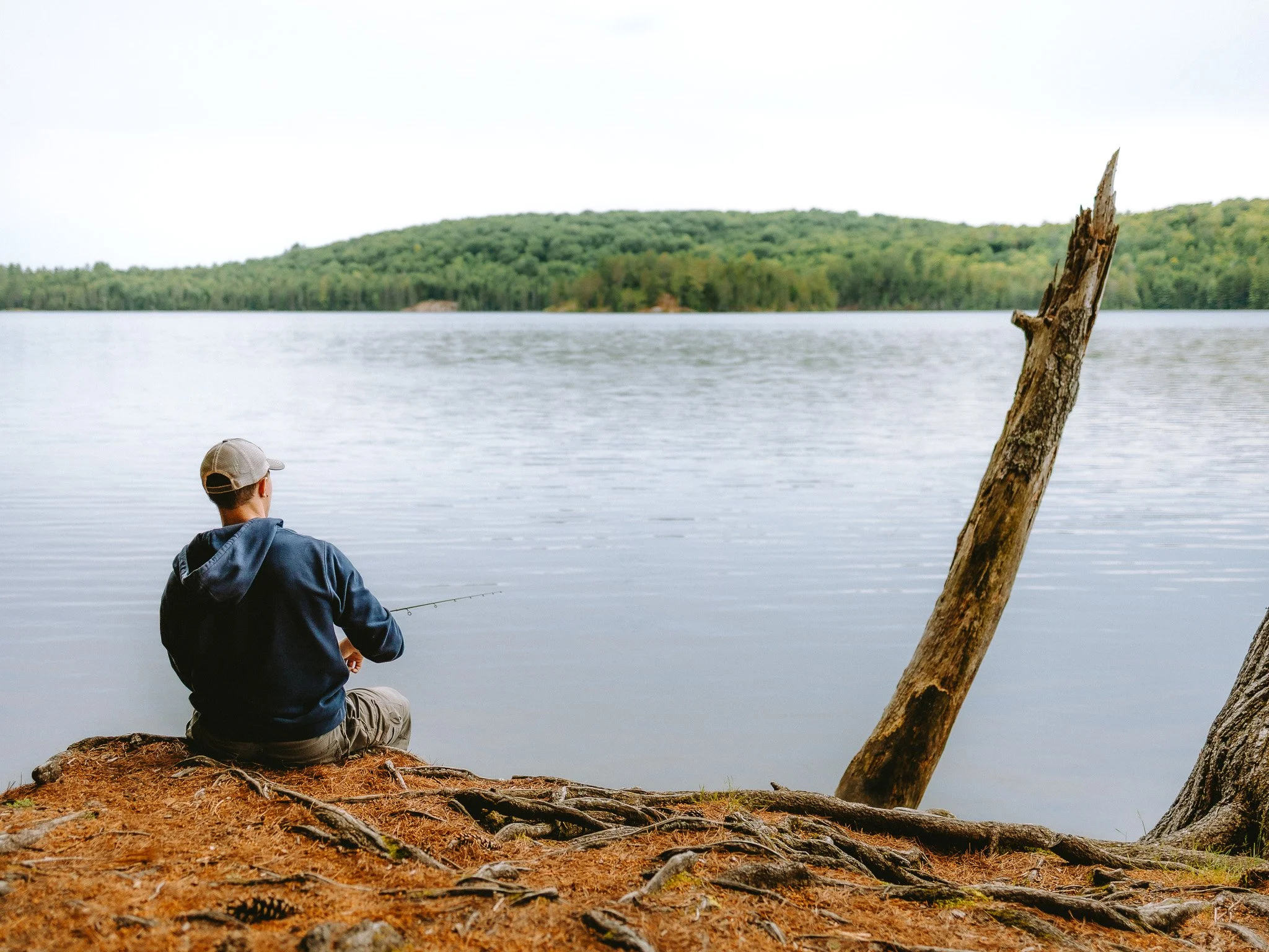 A person sitting on the ground by a tree trunk fishing in a lake with a forested hillside in the background.