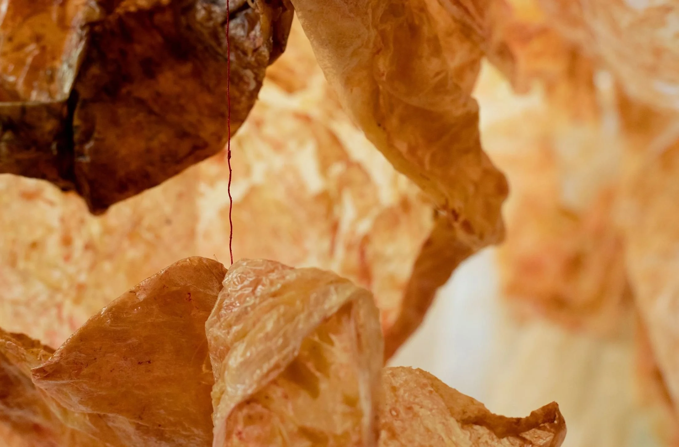 Installation Detail.JPG