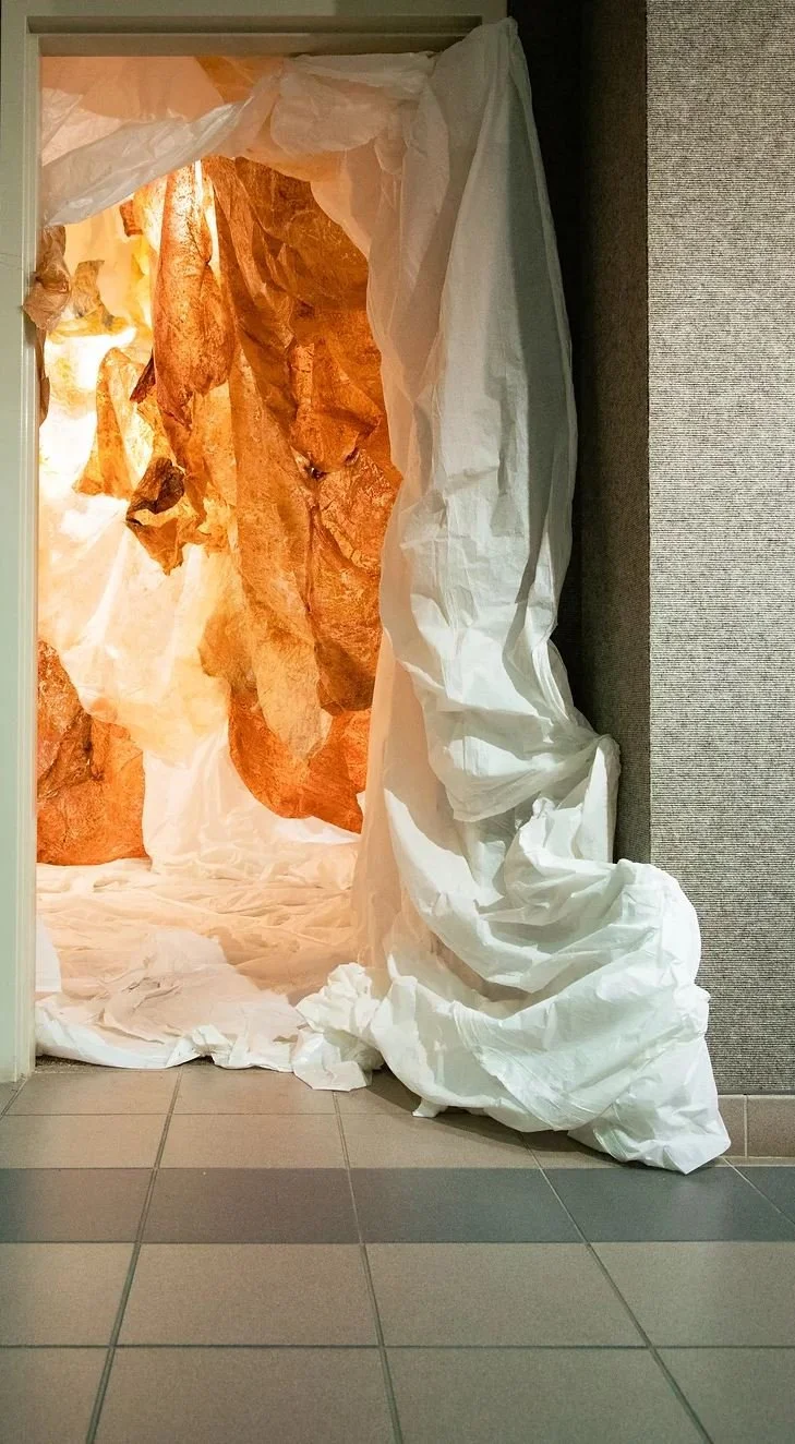 Installation Entry.JPG