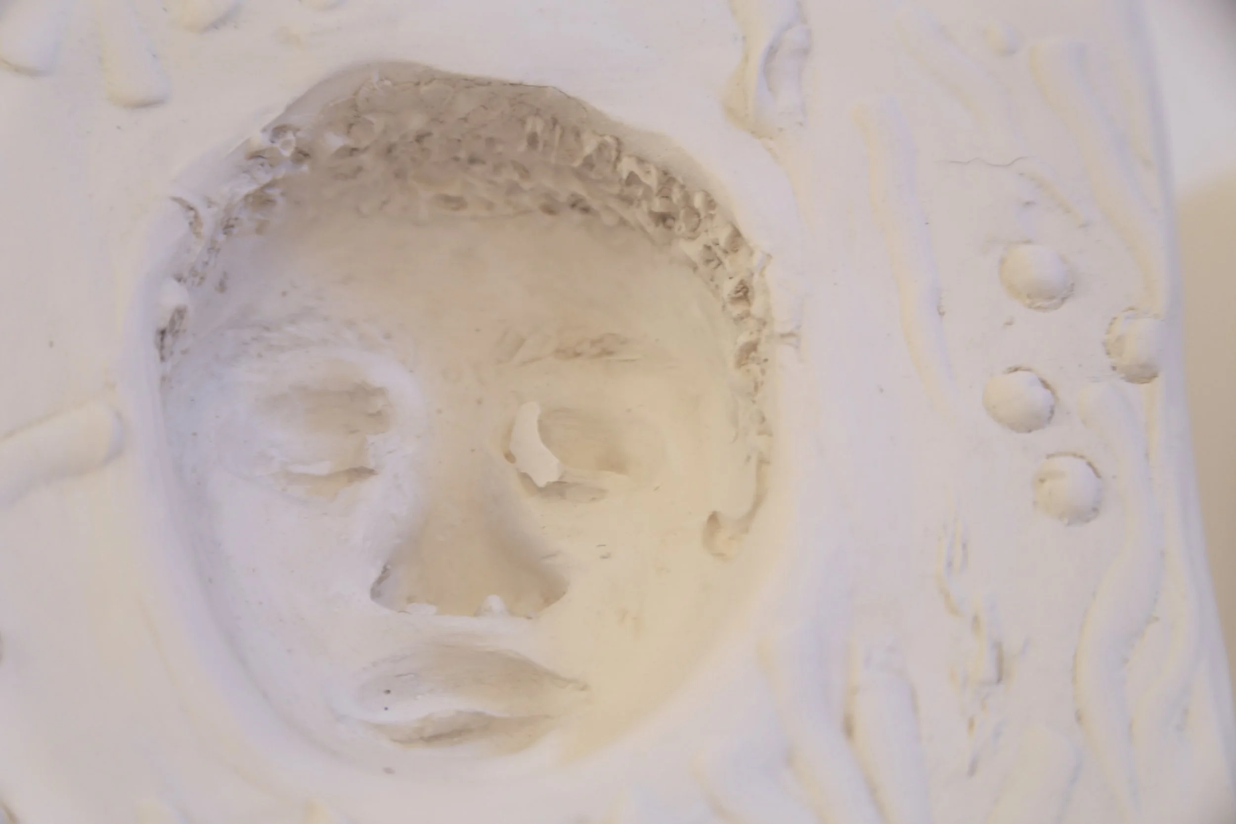 Saving Face detail 3.JPG