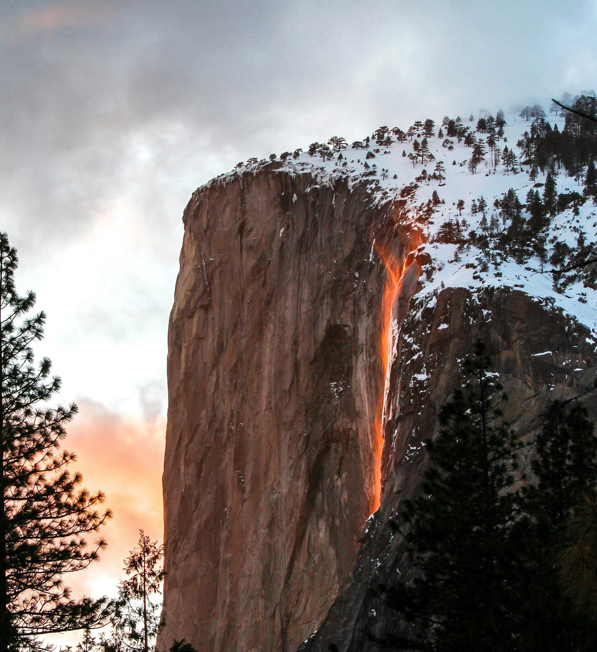 Yosemite's Horsetail Fall illuminated by sunset, creating a firefall effect against El Capitan, surrounded by snowy trees.