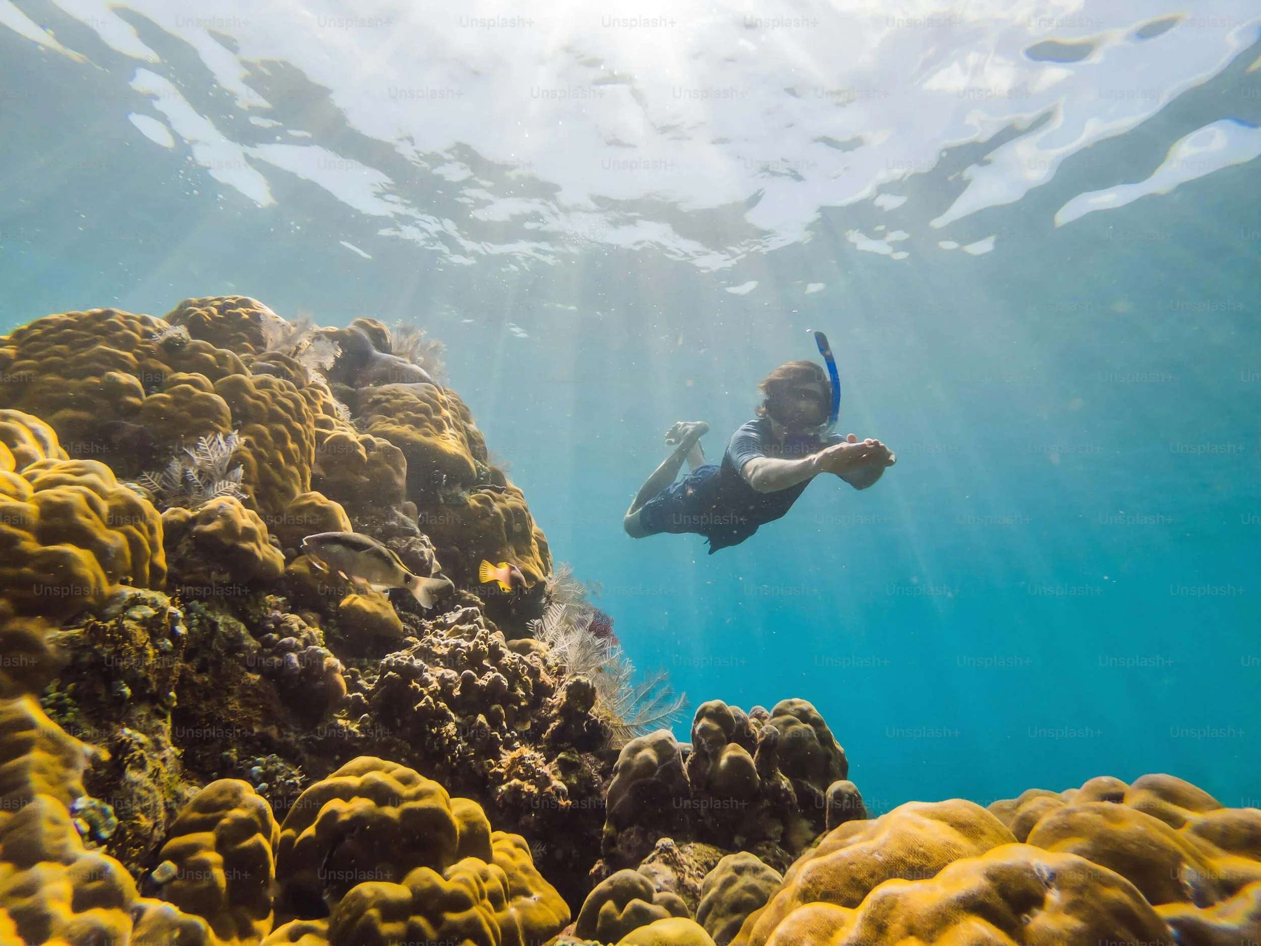 (Snorkeling)