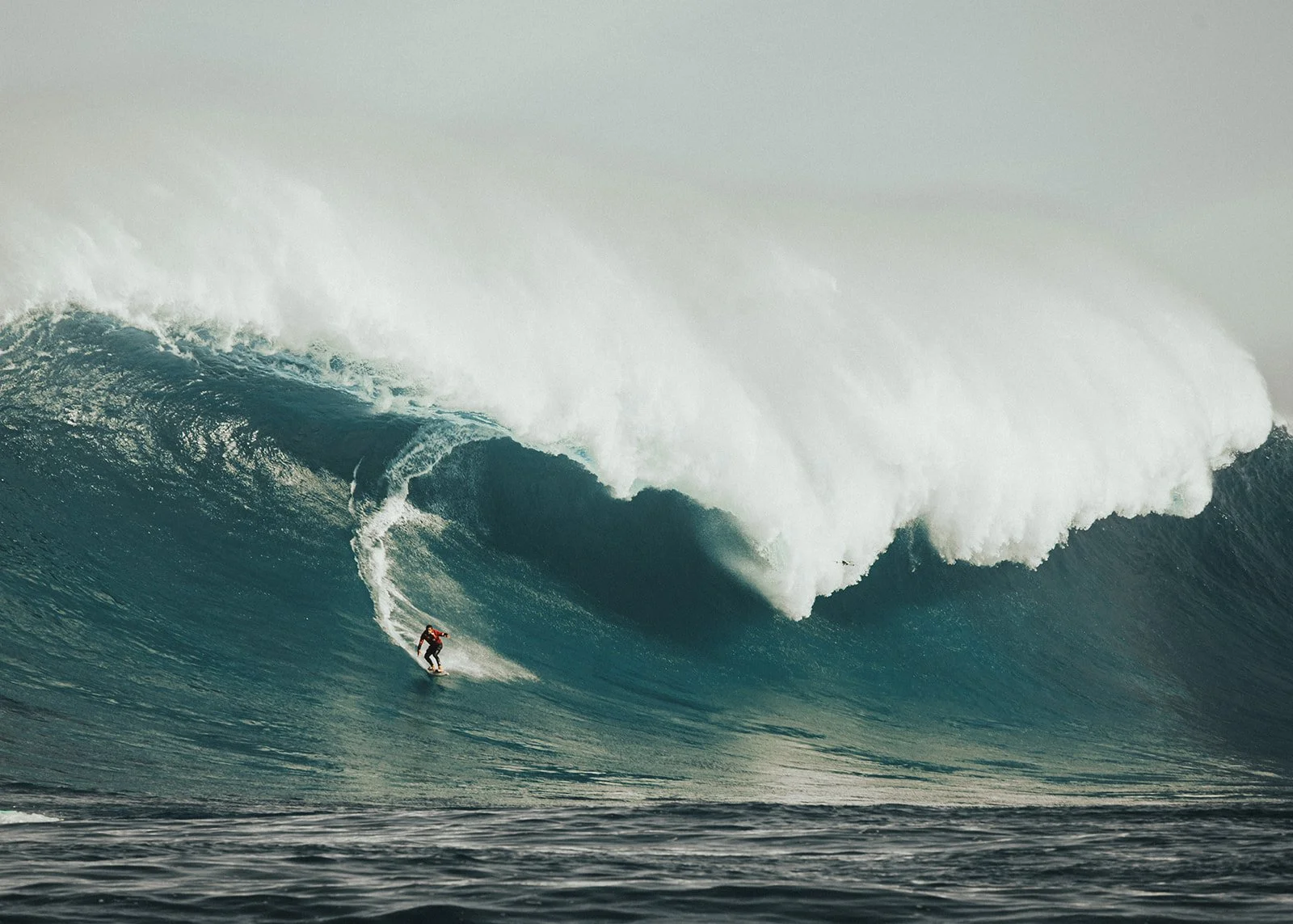 (Jaws)