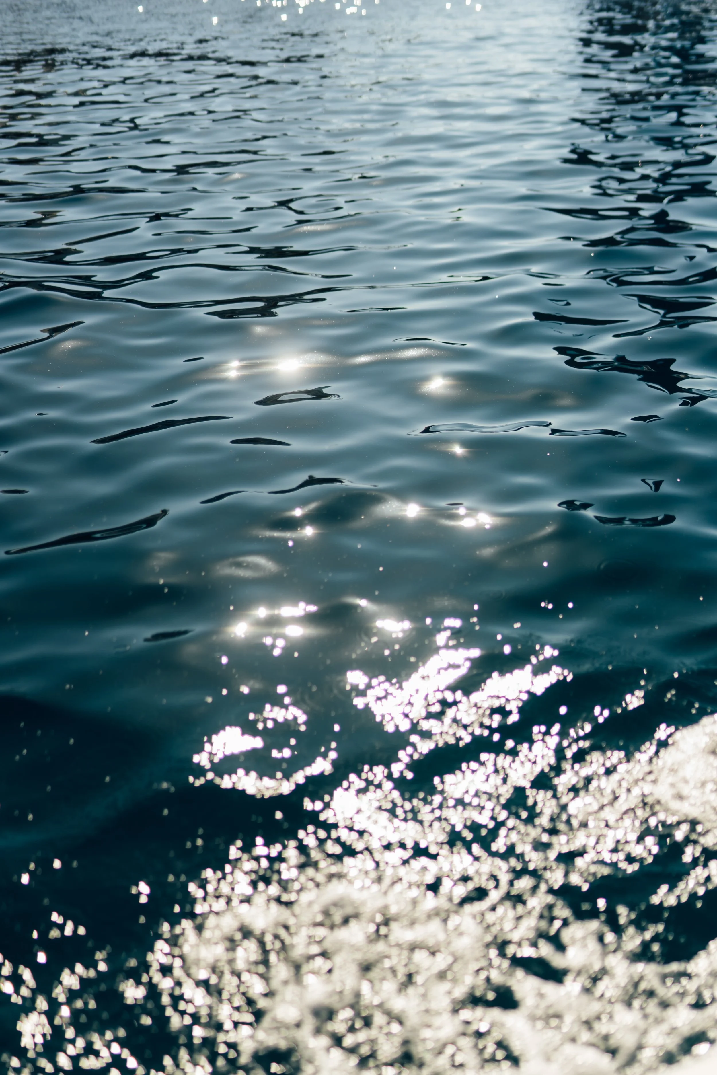 (Fleet)